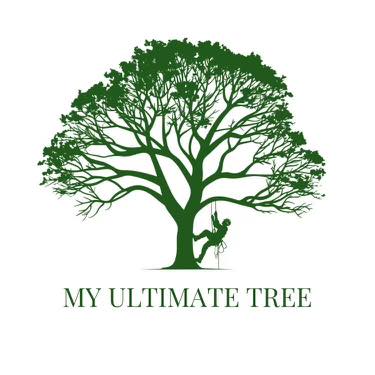 Ultimate Tree Service
