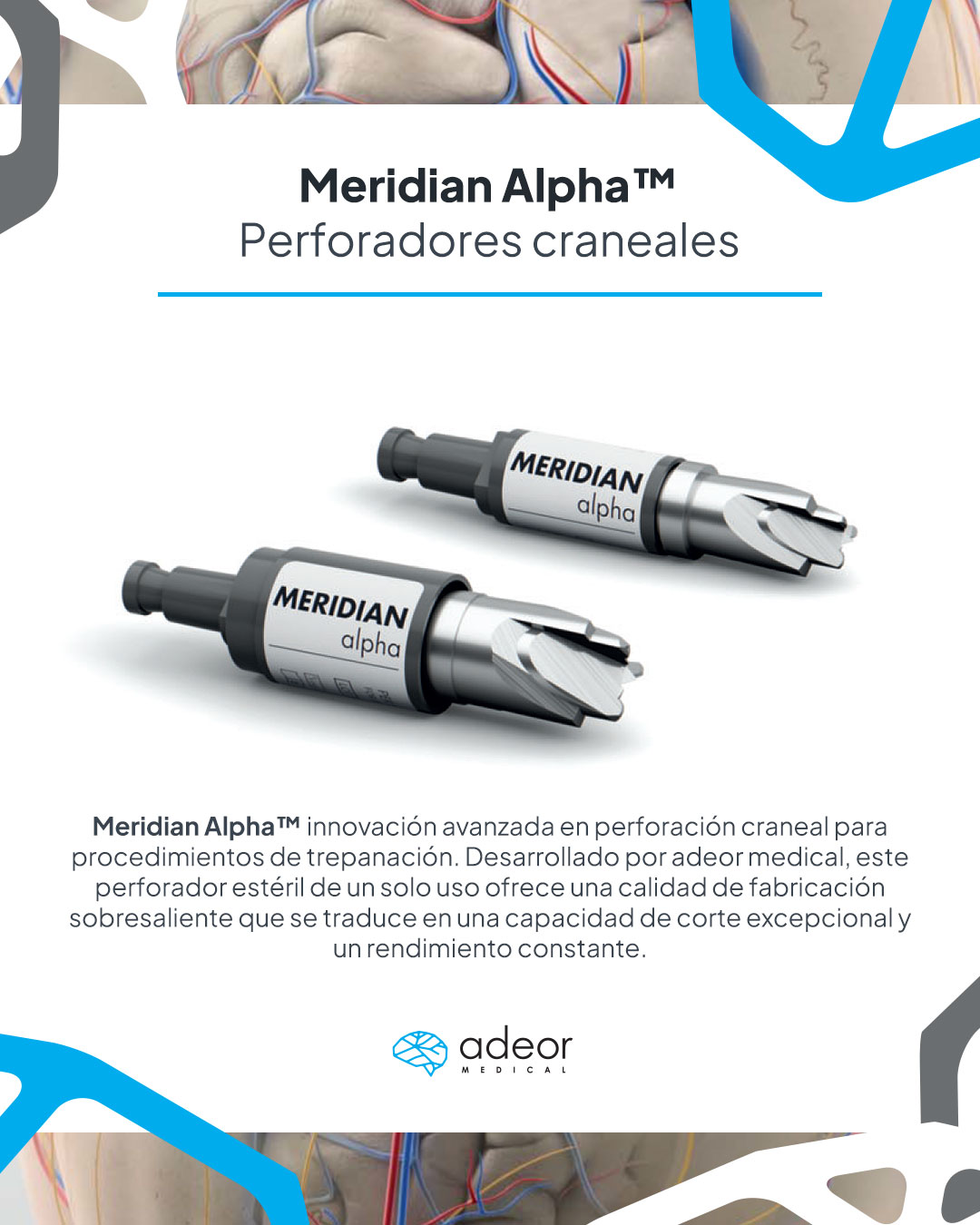 Neuroservice Internacional | Guadalajara