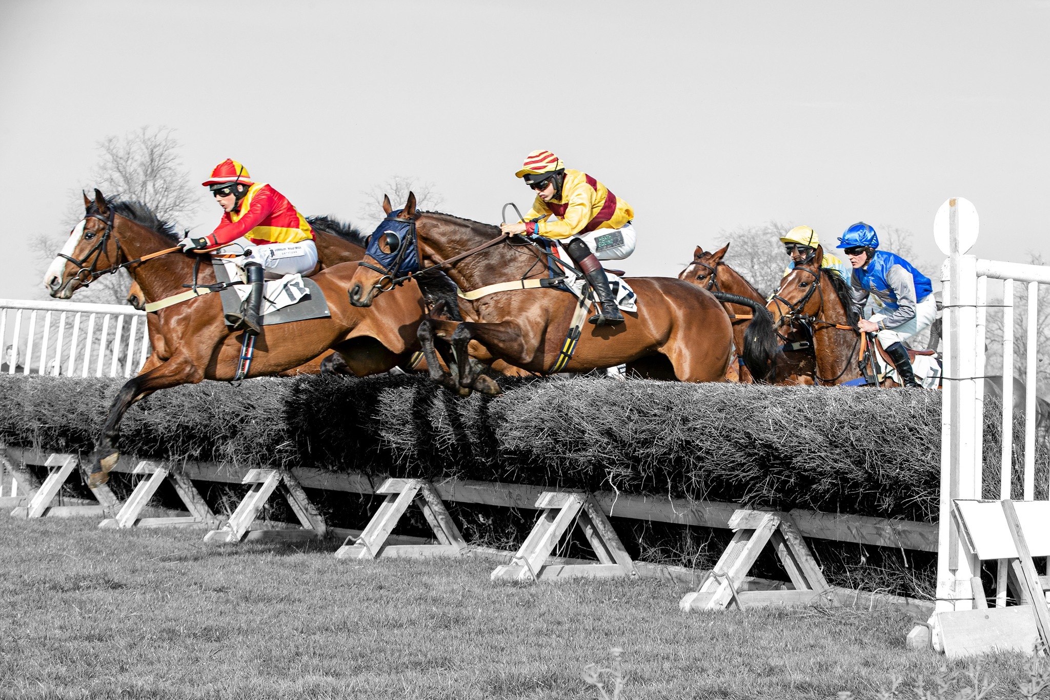 Bedale Point To Point Races | Bedale