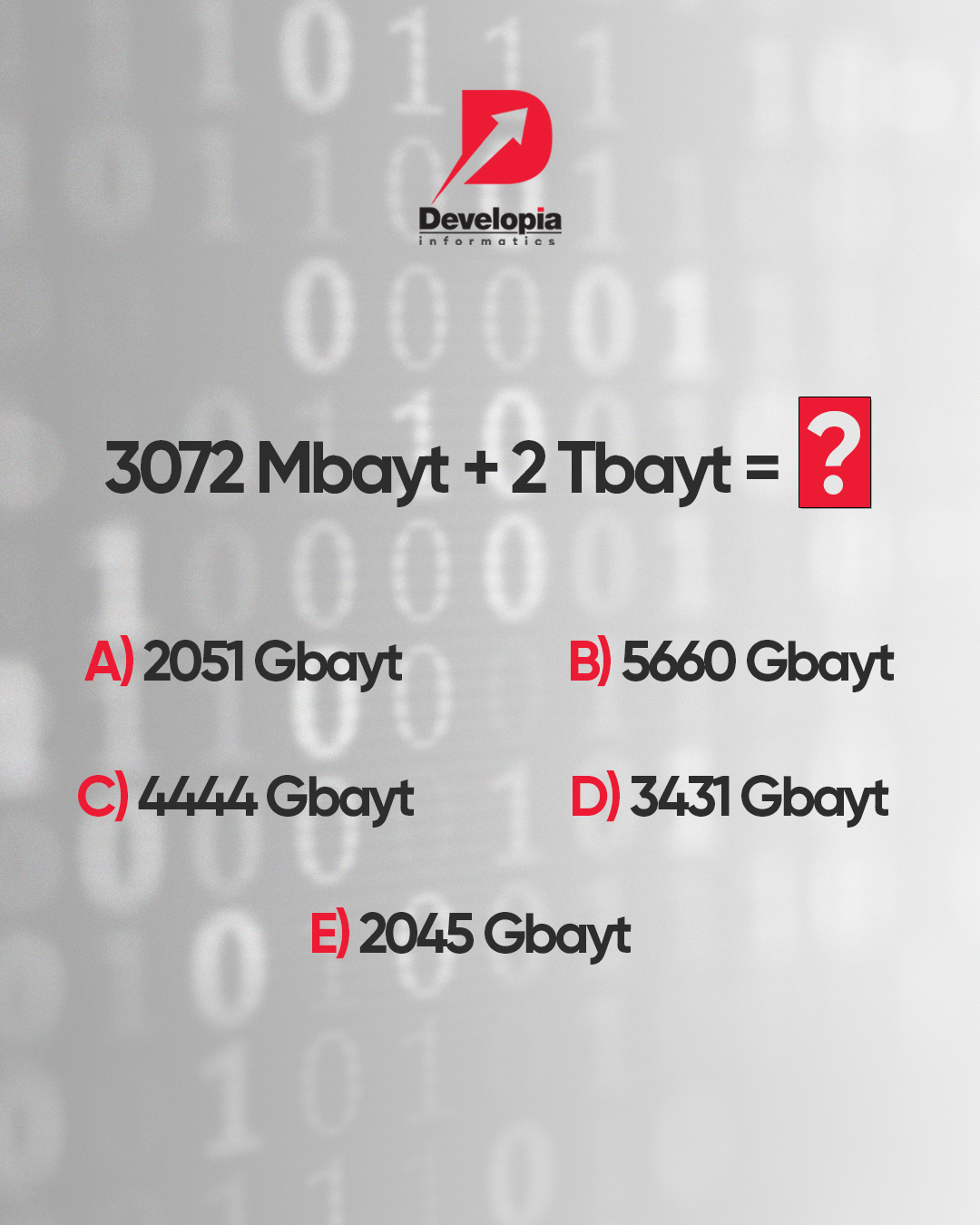 Developia Informatics | Baku