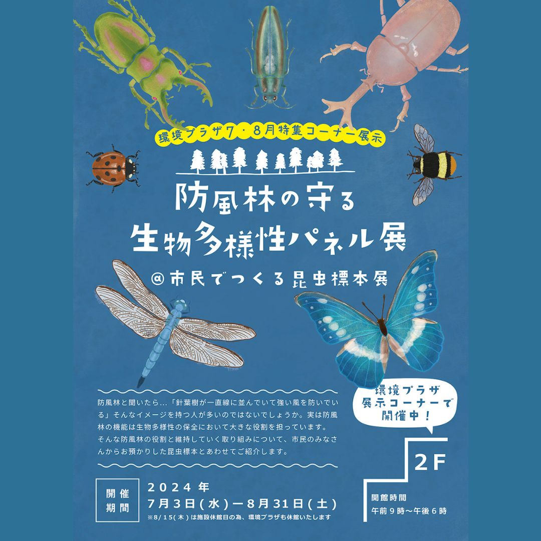 蝶標本写真集の表紙 込み合っ