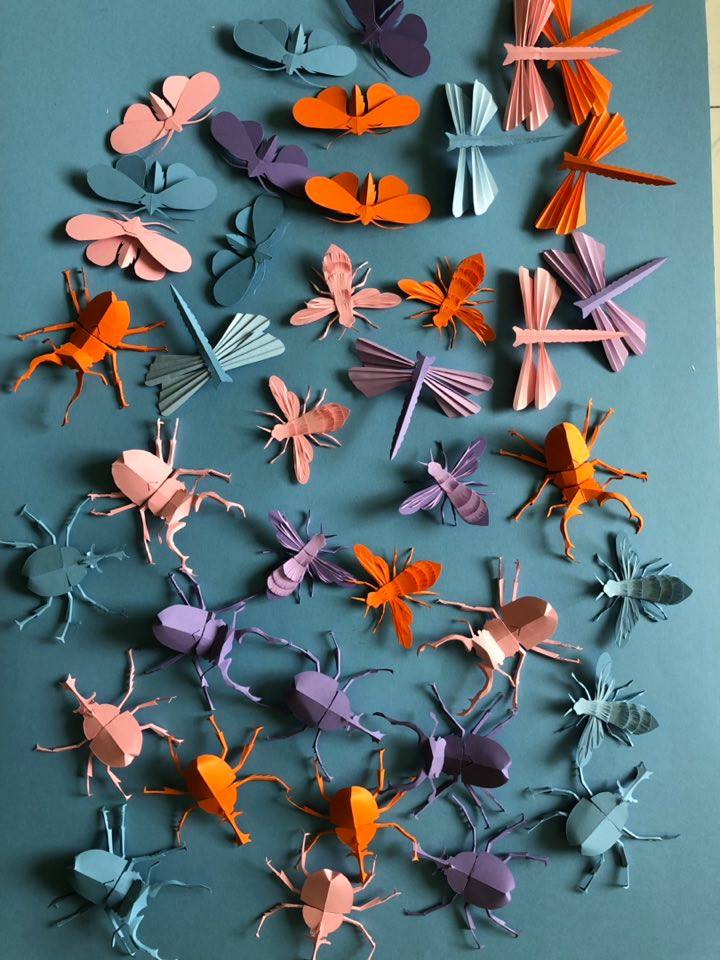 K Design Studio - Insect series ....... Hercules Beetles