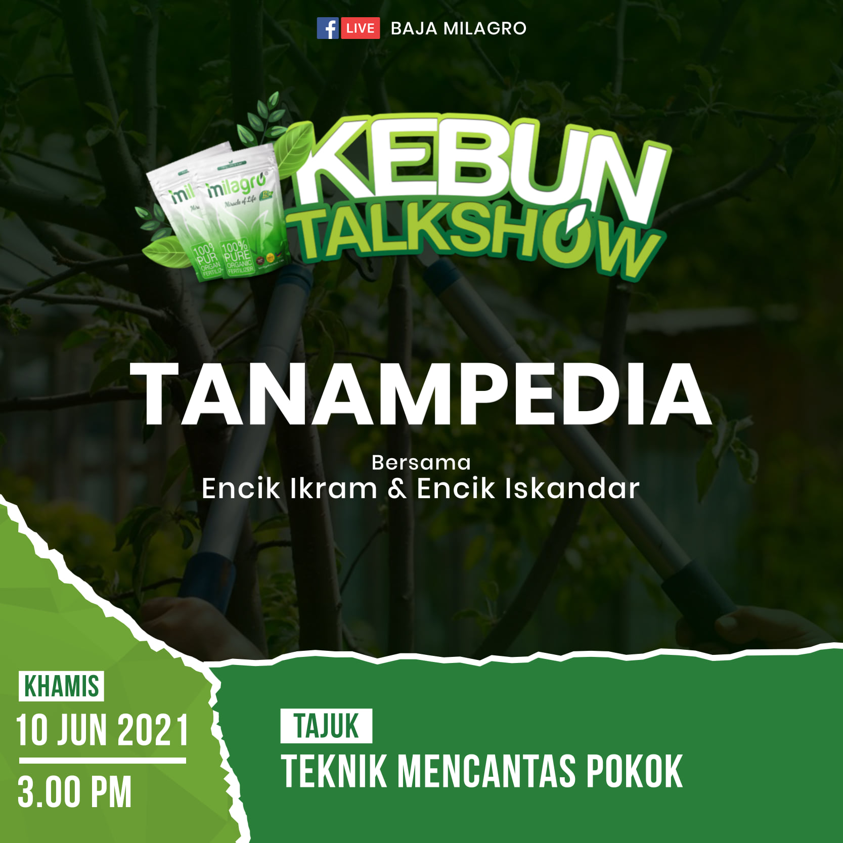 Baja Milagro 5 Tanaman Yang Menguntungkan Mudah Ditanam Facebook