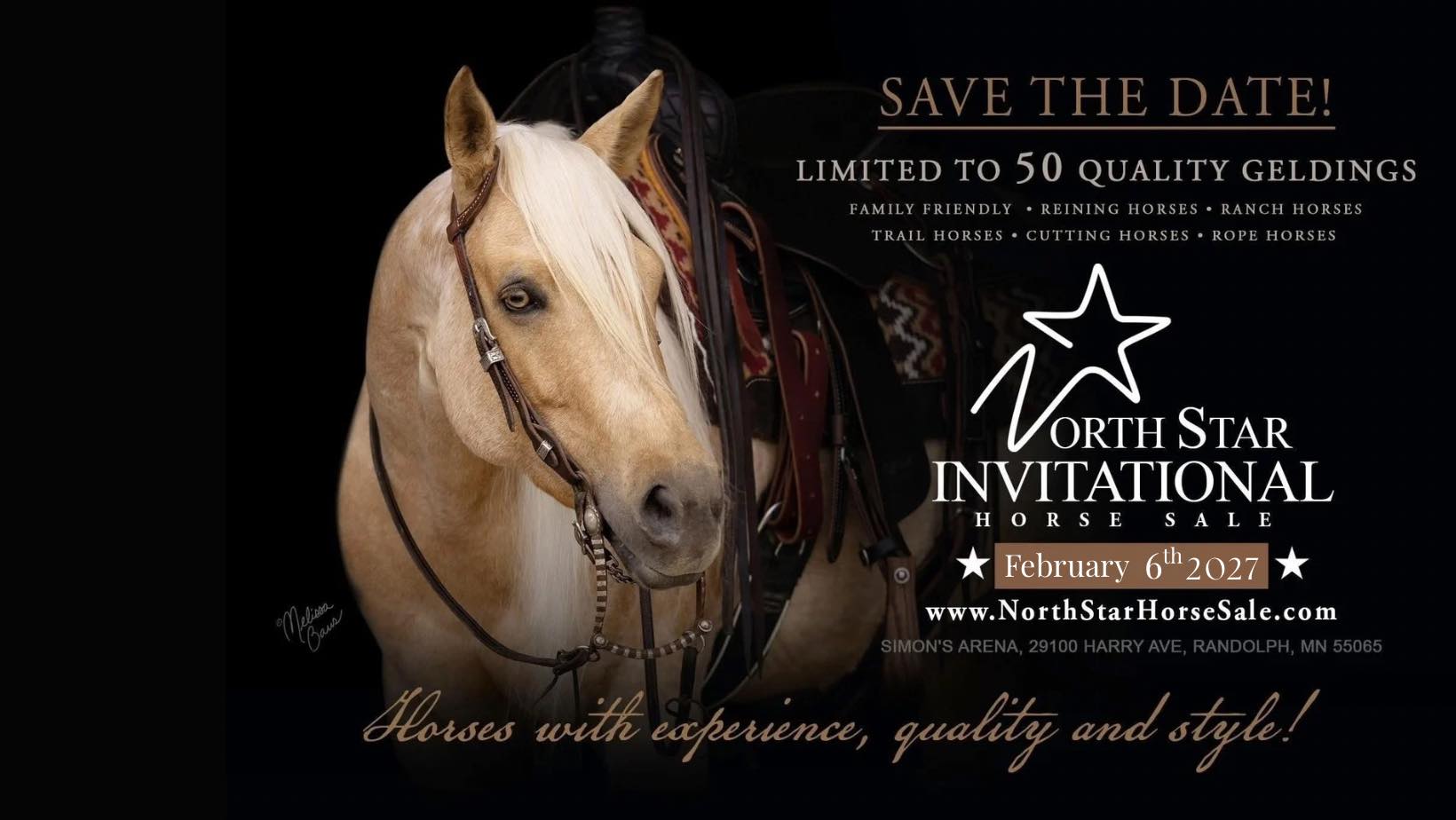 North Star Invitational Horse Sale (@northstarhorsesale) • Facebook