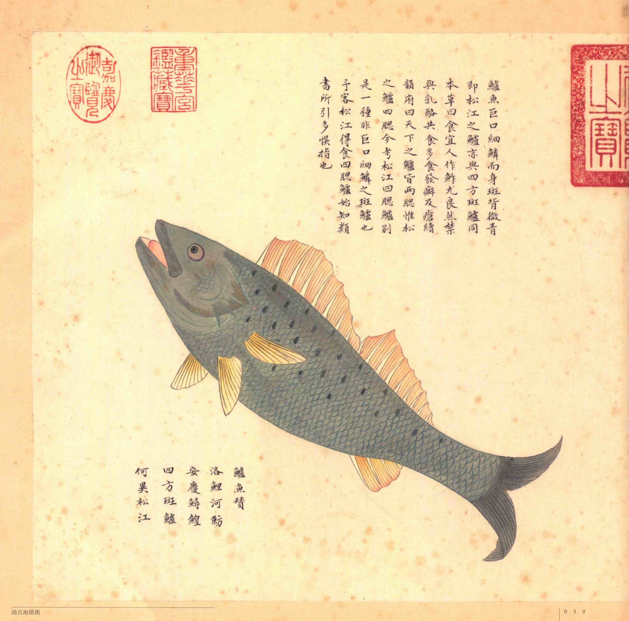 山海經 - 《海錯圖》 🐟🐡🐬🌊 . 2-2 . 『鱸魚賛』 洛鯉河魴安慶鱘鰉，四方斑鱸何異松江 ....
