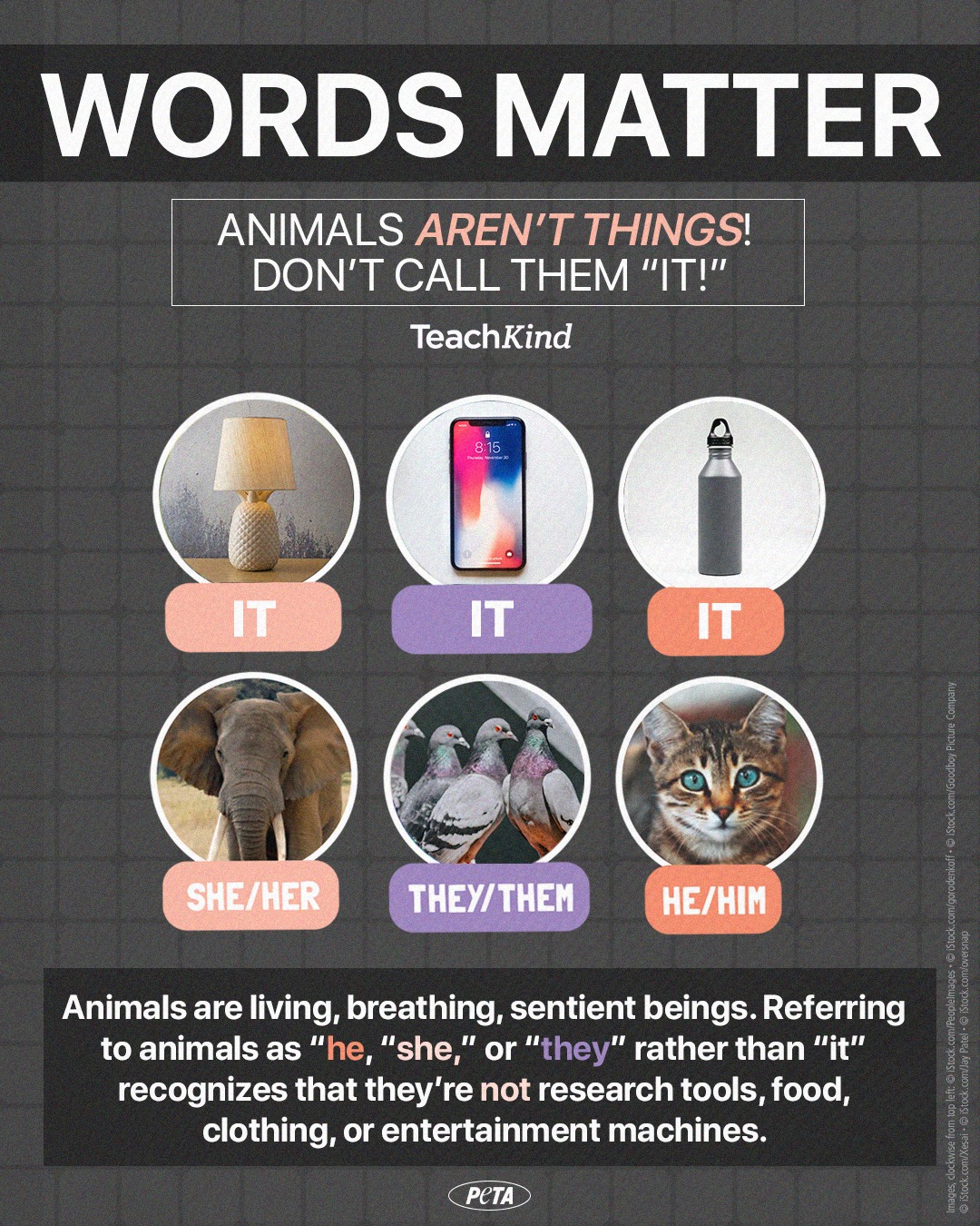 PETA - Because animals are feeling individuals, not inanimate objects 📝 ...