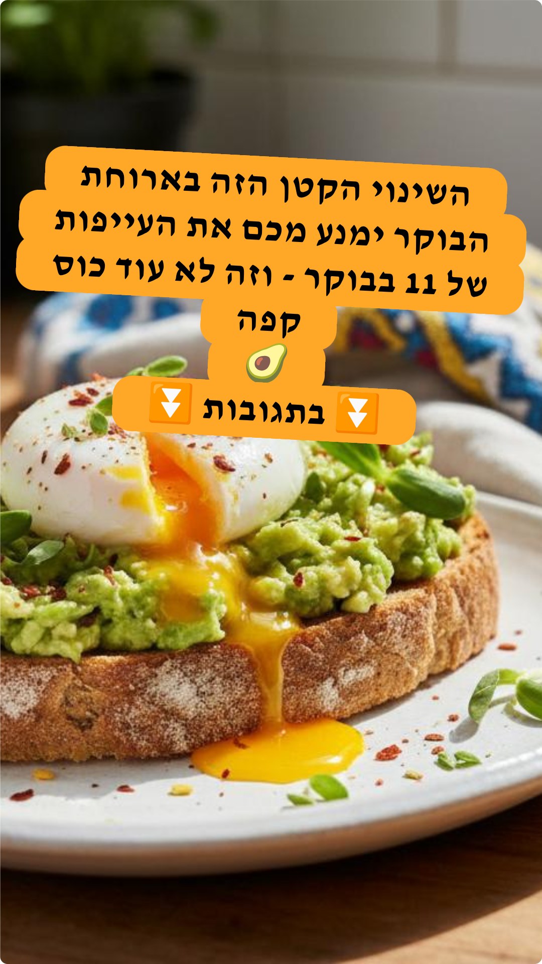 ‎FoodisGood - רשת... - FoodisGood - רשת חברתית למתכונים