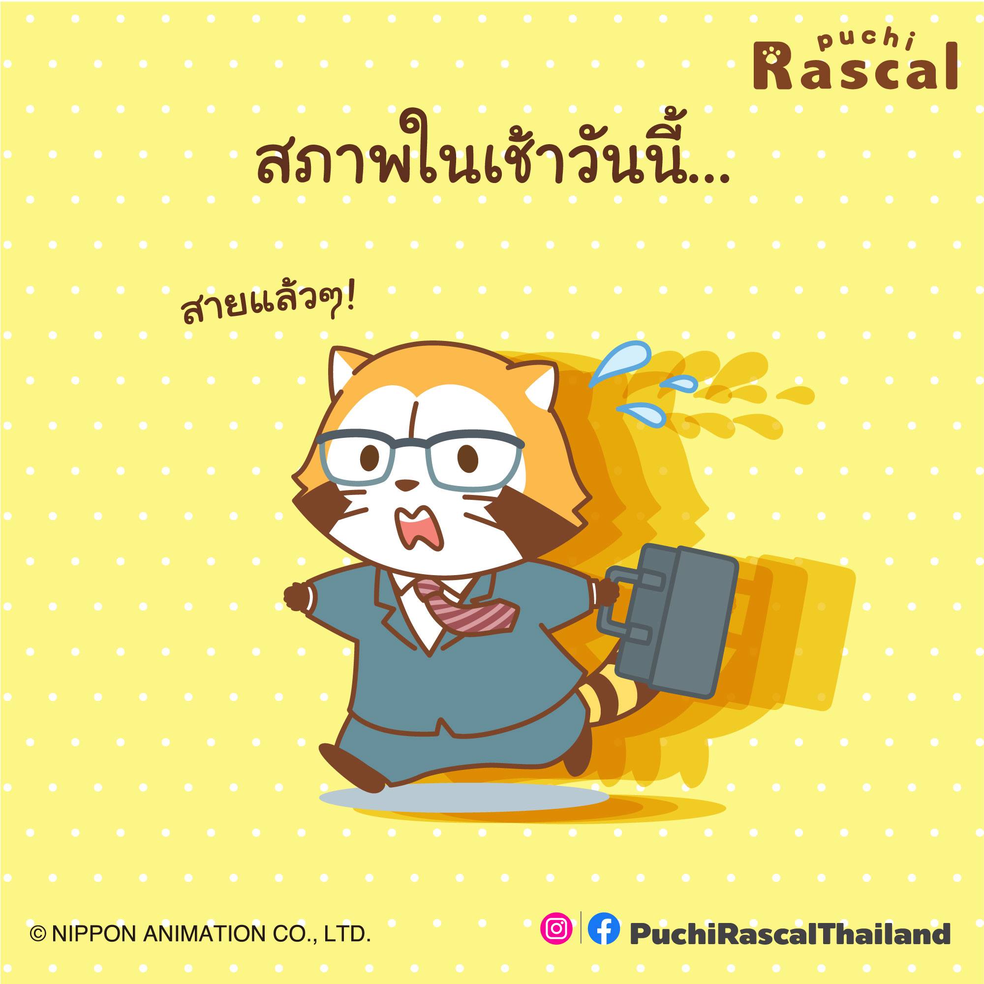 สภาพตอนเช้าวันนี้ของ พูชิ ราสคาล... - Puchi Rascal Thailand | Facebook