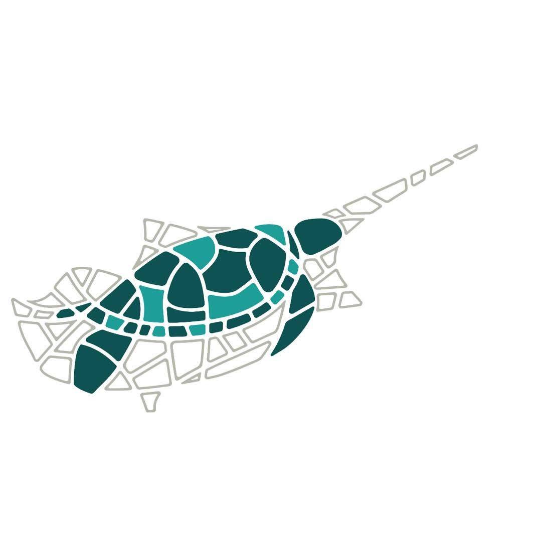 🐢 Volunteer Stories | Rupli... - SPOT Marine Life | Facebook