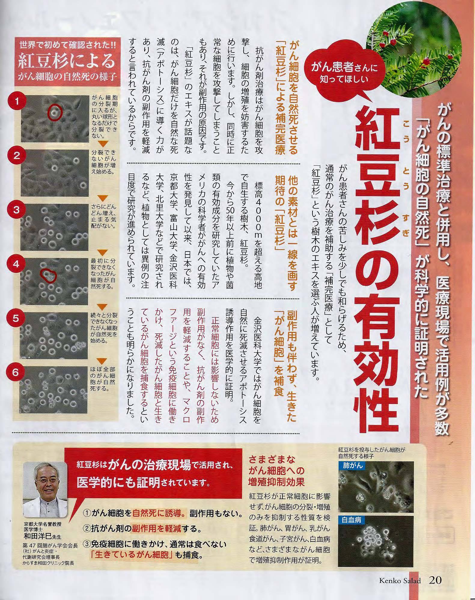 岩手三陸復興の狼煙作戦 癌細胞を食べる 紅豆杉の効能 一般公開が待ち遠しい 京都大学 医学研究科 Srp Facebook