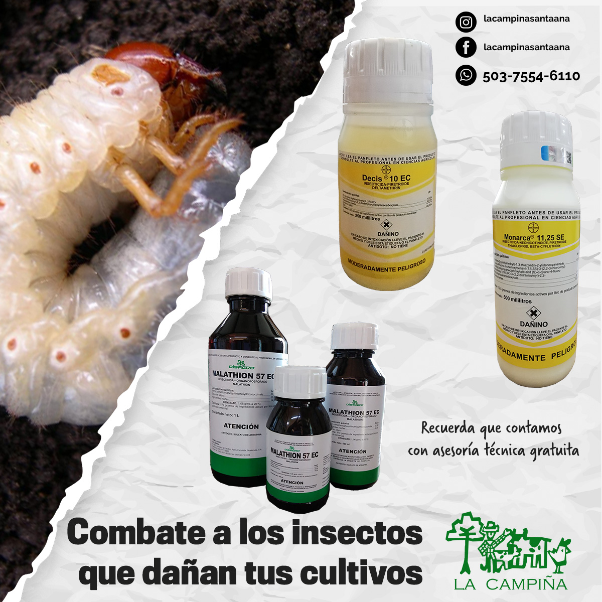 Los insecticidas tienen... - Agroservicio La Campiña