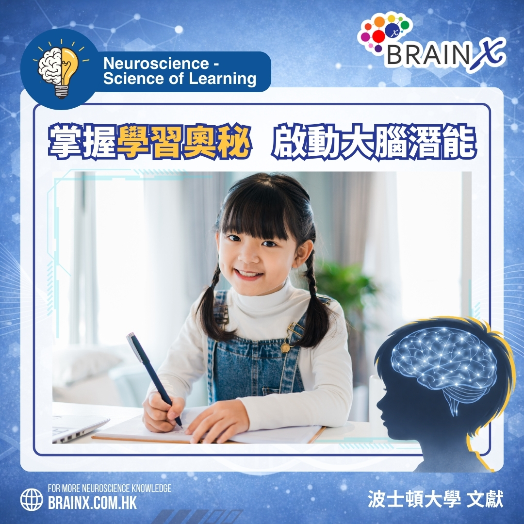 BrainX - 【掌握學習奧秘💫 啟動大腦🧠潛能】 你有冇發現—— 孩子明明已經好努力溫書📚 但一坐低就分心😵‍💫、坐唔定、情緒又易爆？ 學 ...