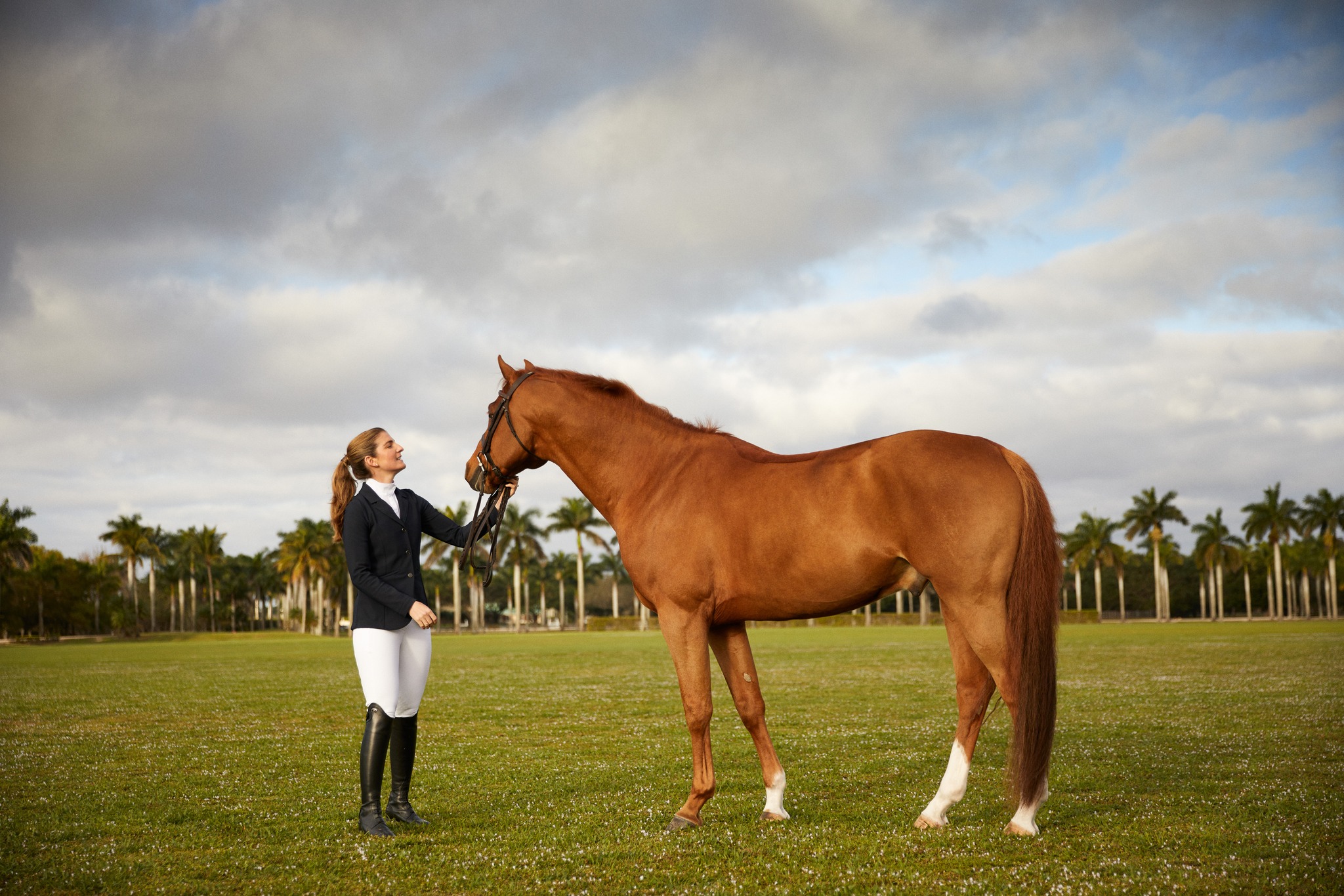 Ariat Equestrian | San Leandro CA