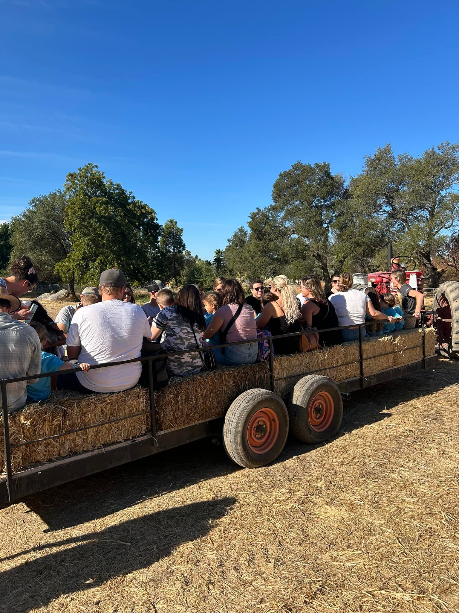 Rickey Ranch Pumpkin Patch | Granite Bay CA