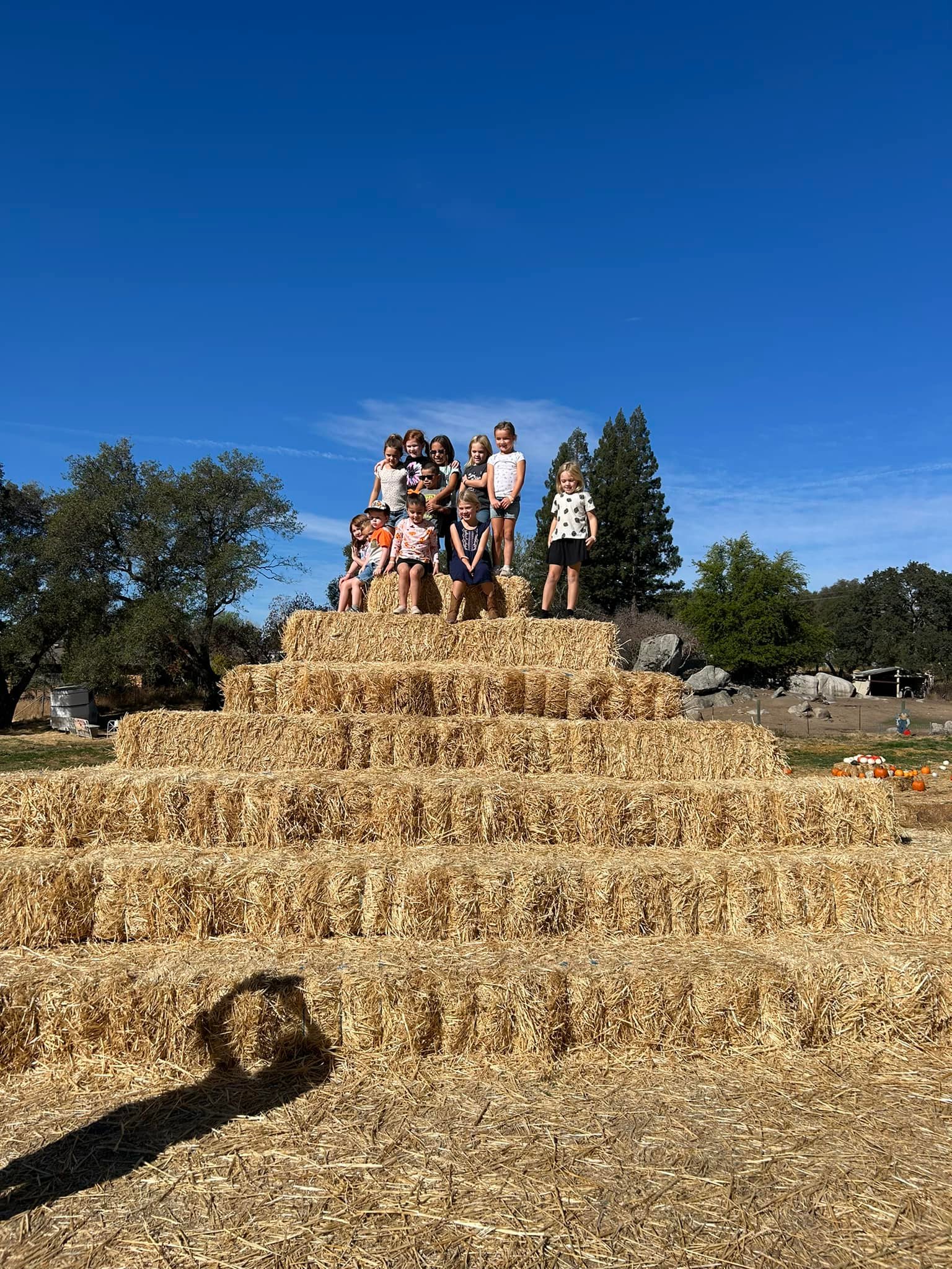 Rickey Ranch Pumpkin Patch | Granite Bay CA