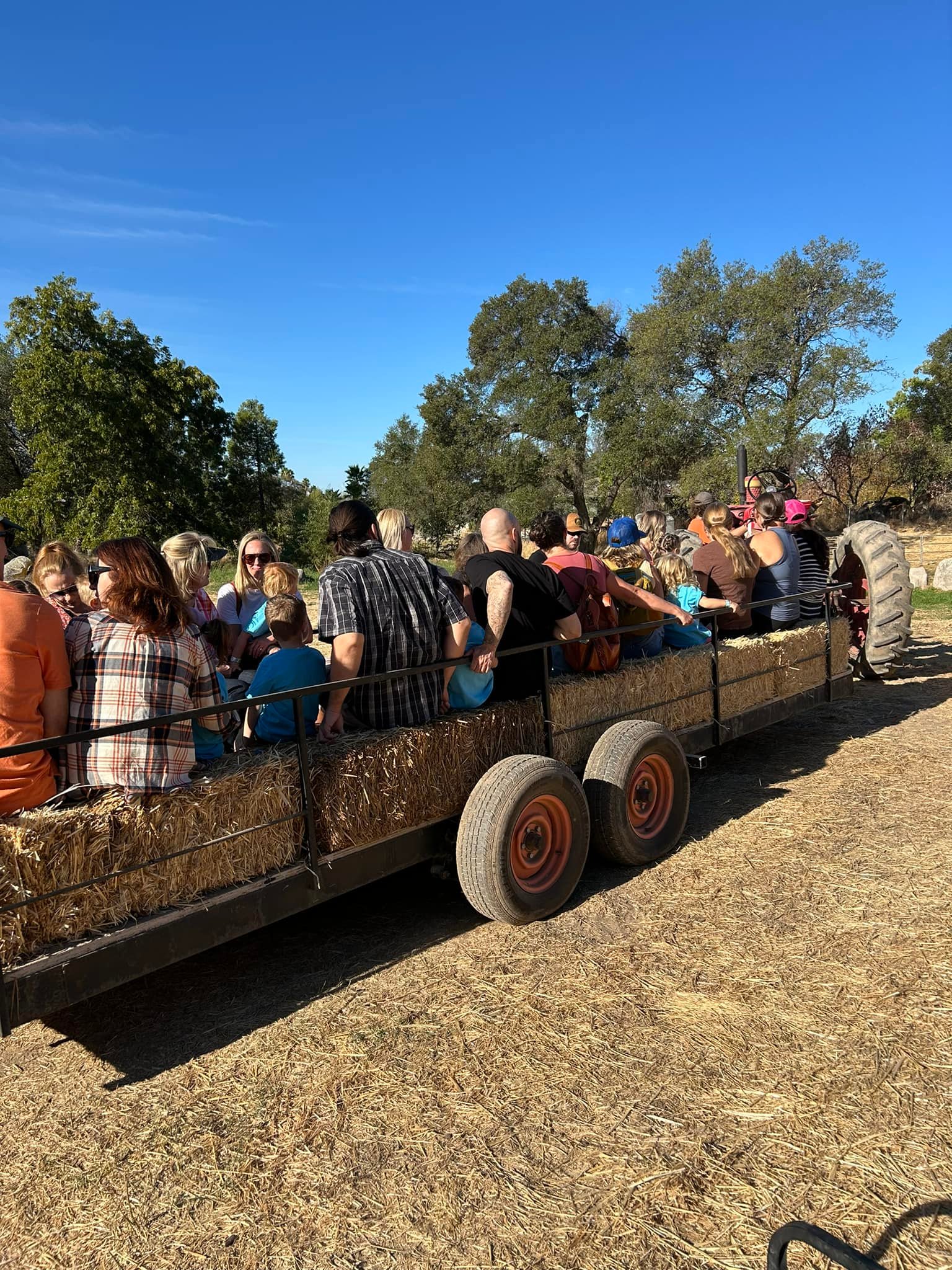 Rickey Ranch Pumpkin Patch | Granite Bay CA