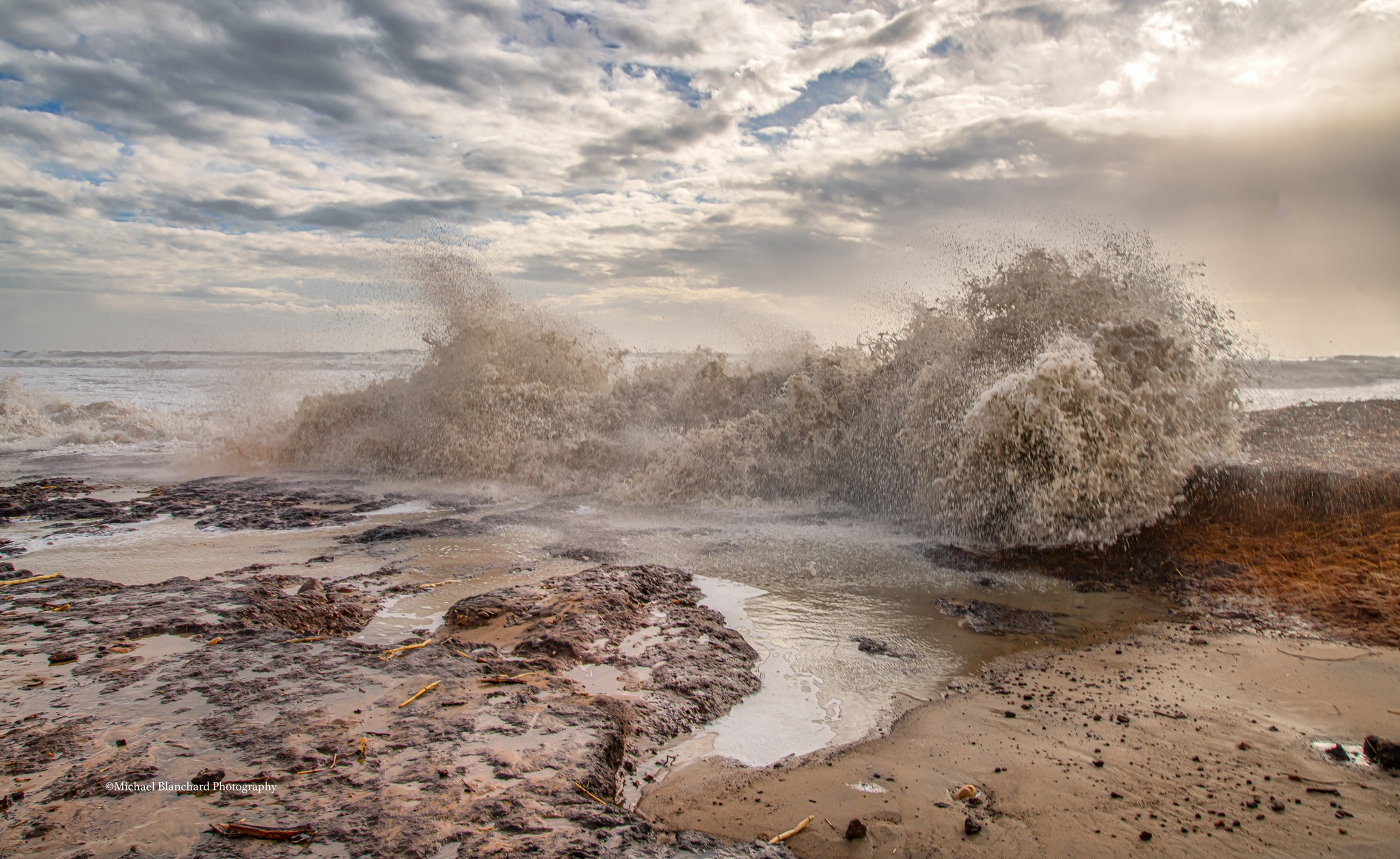 Michael - Of all the photos I took today on the decimated south-facing ...