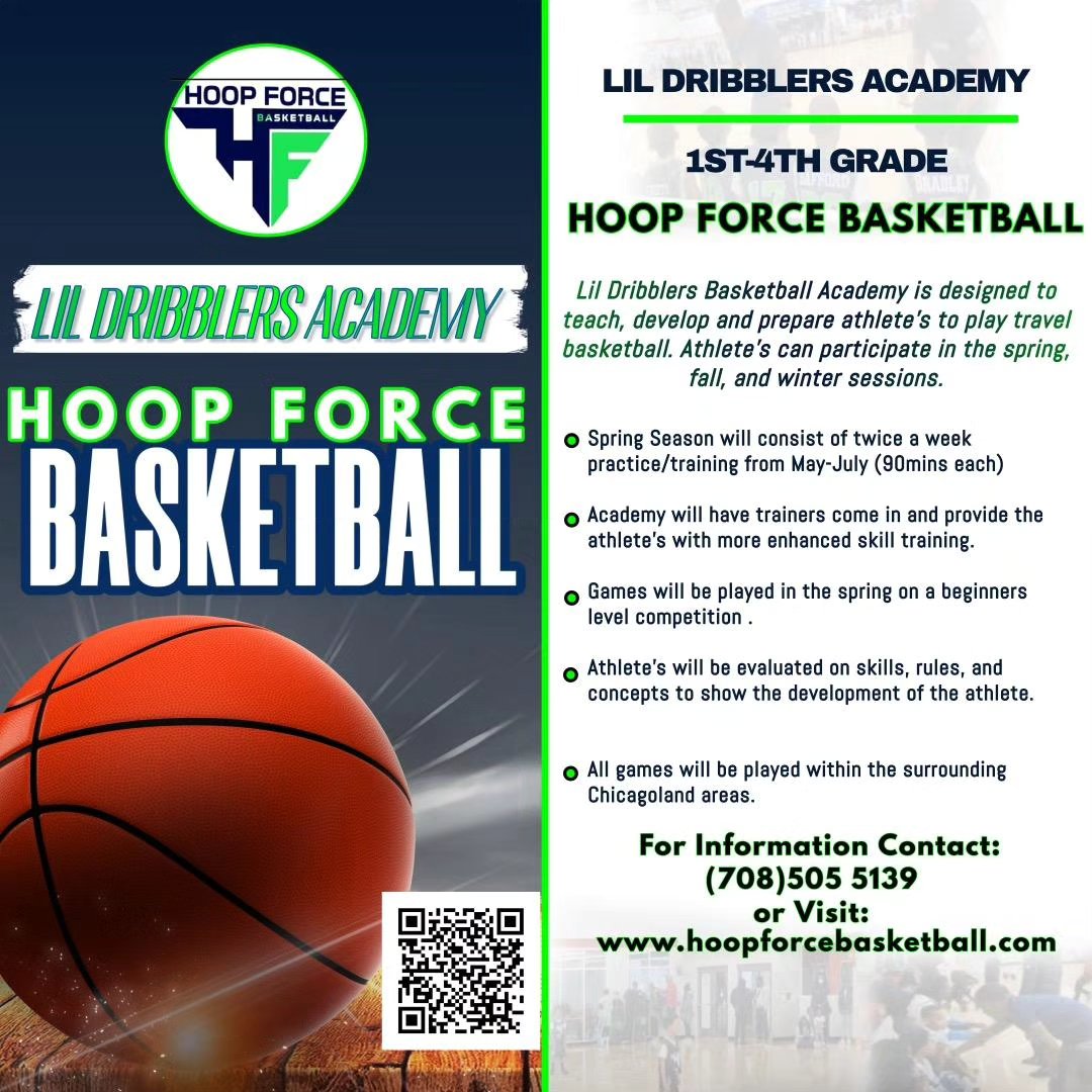 Hoop Force Basketball