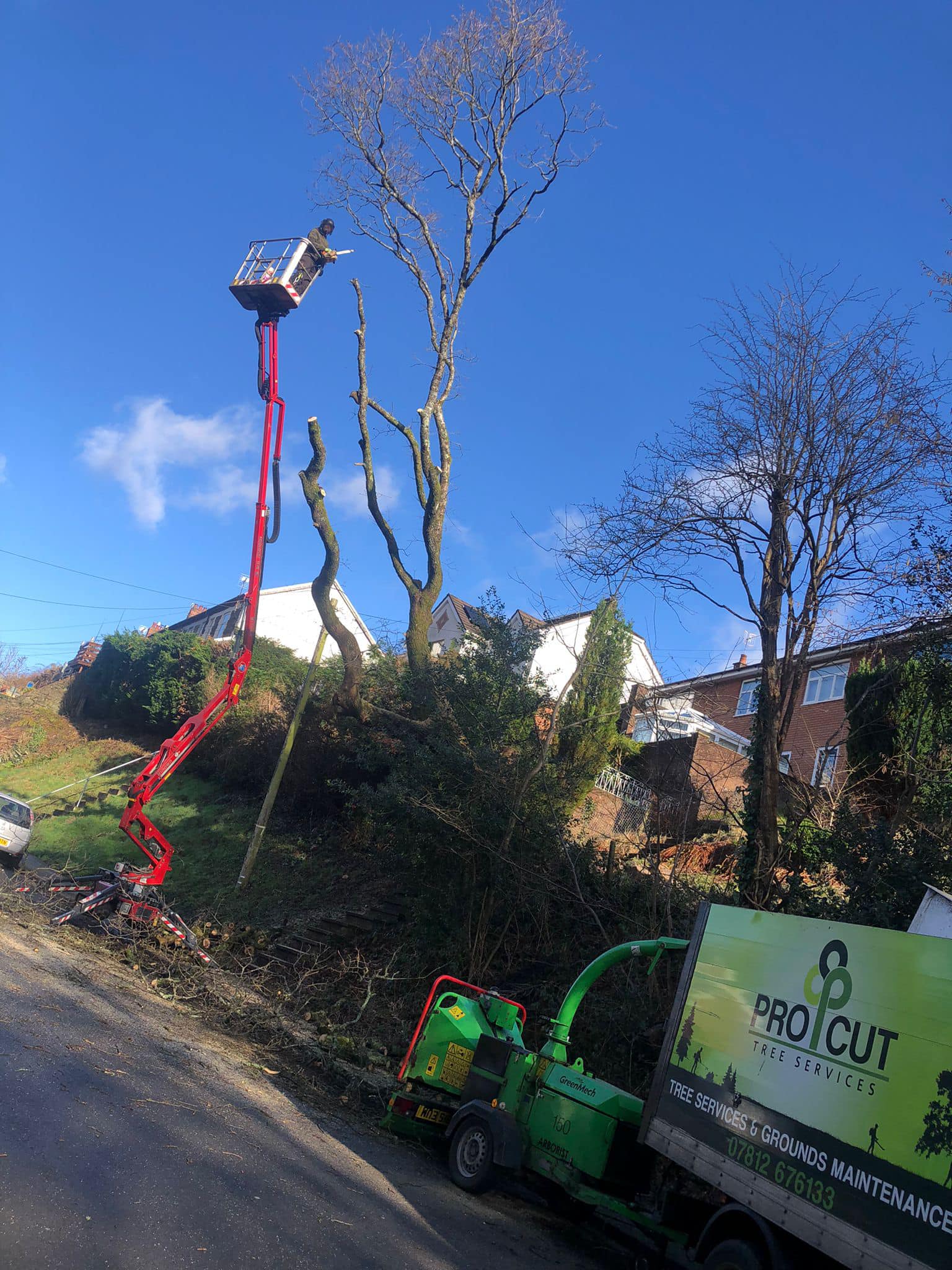 Pro-Cut Tree Services | Abertillery
