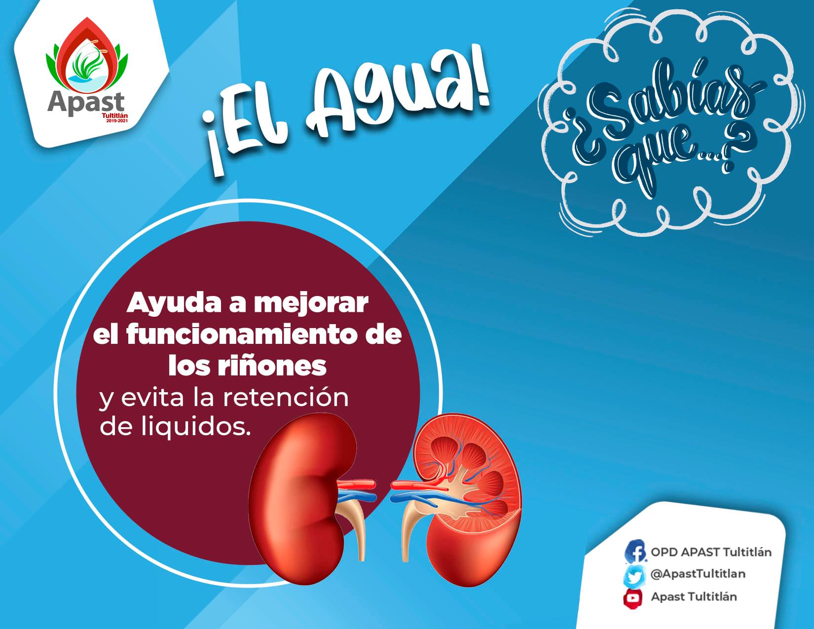 ¿Sabías Que?🤔 El agua limpia... - OPD APAST Tultitlán