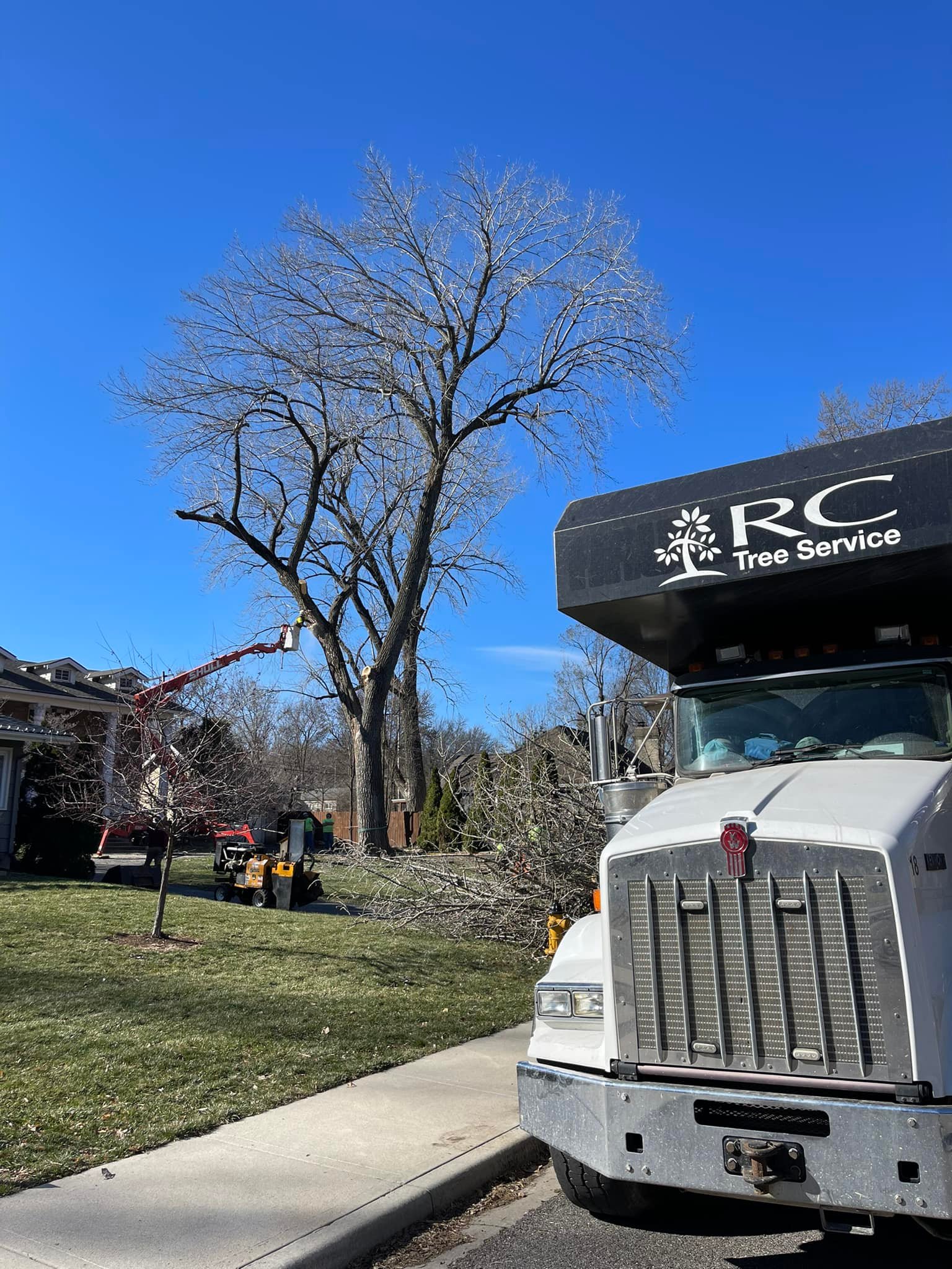RC Tree Service | Kansas City MO