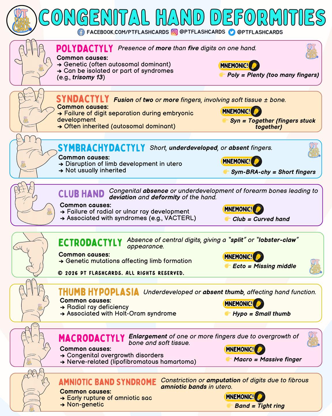 PT Flashcards - 🖐️ Congenital Hand Deformities—made simple... | Facebook