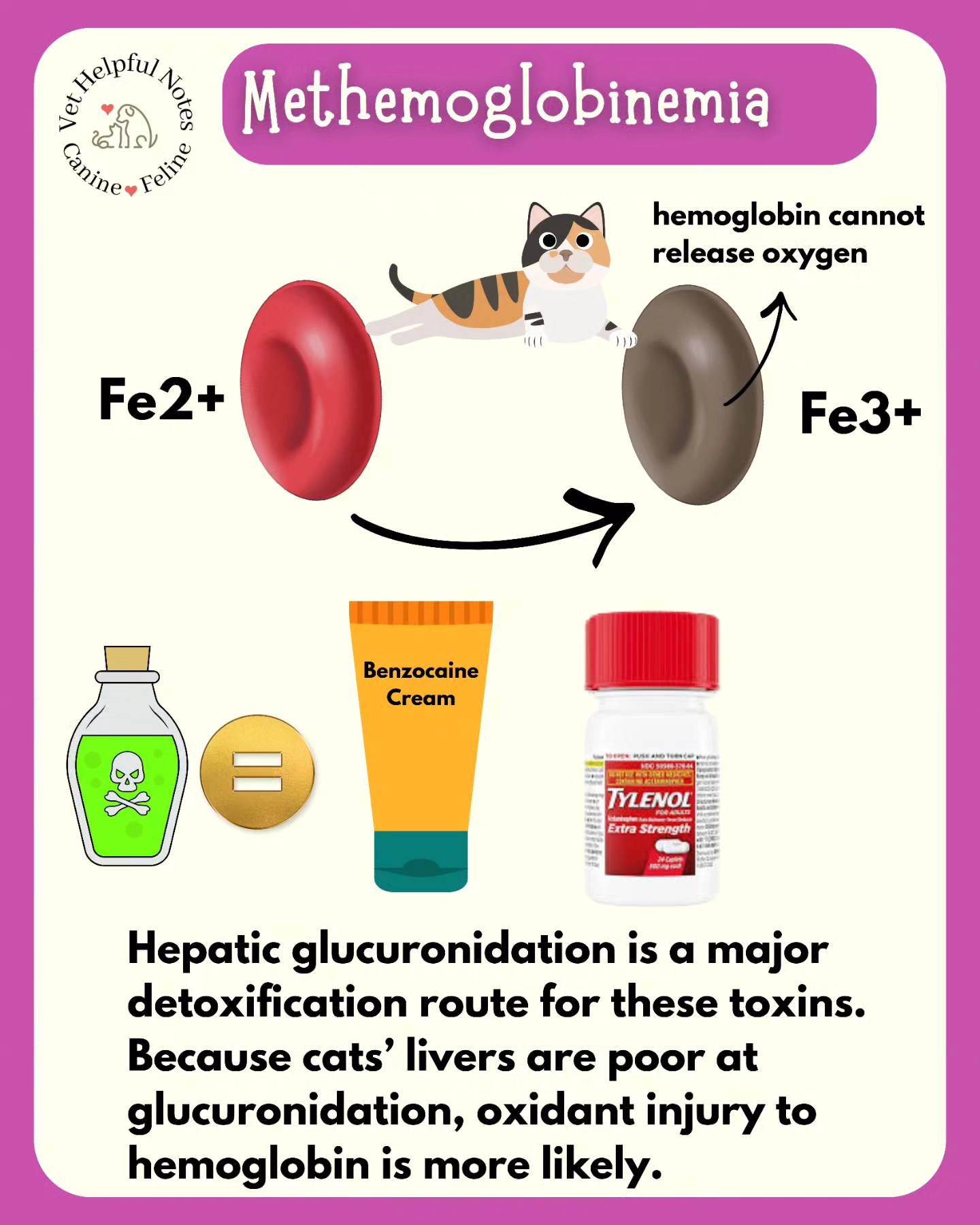 methemoglobinemia glutathione in cats: case reports and symptoms ISOI Global Official |