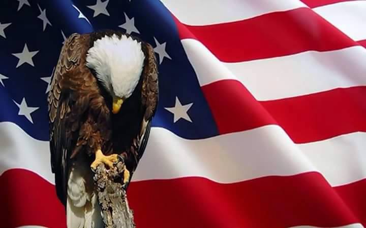 Phoenix Hydrographics | Johnstown NY