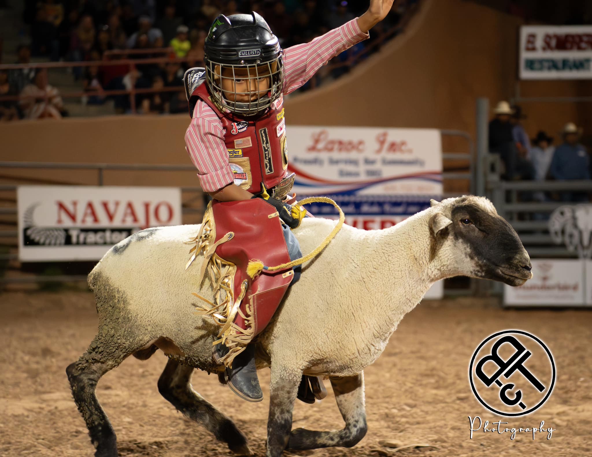 WildThing Championship Bullriding