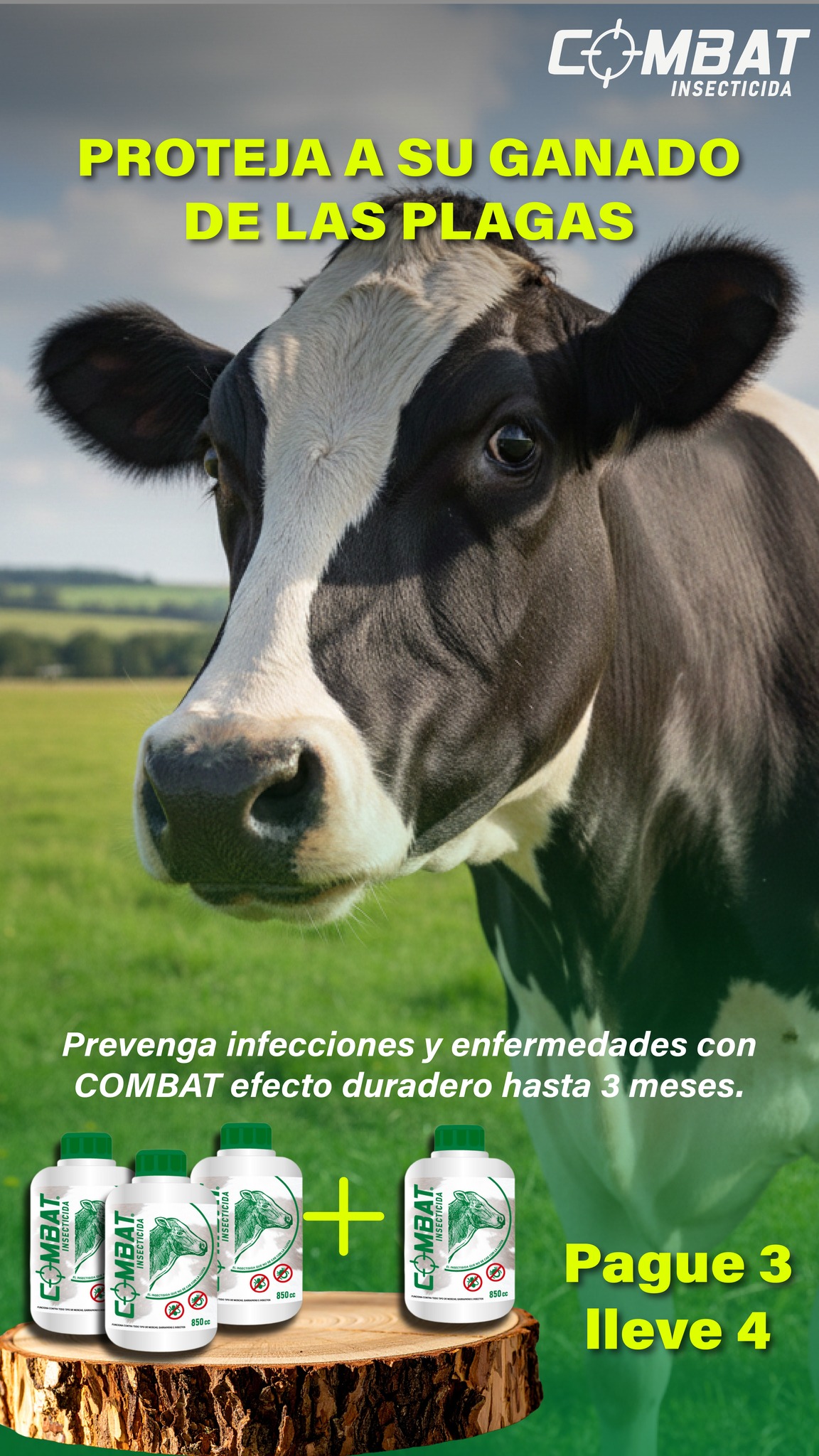 Combat Insecticida