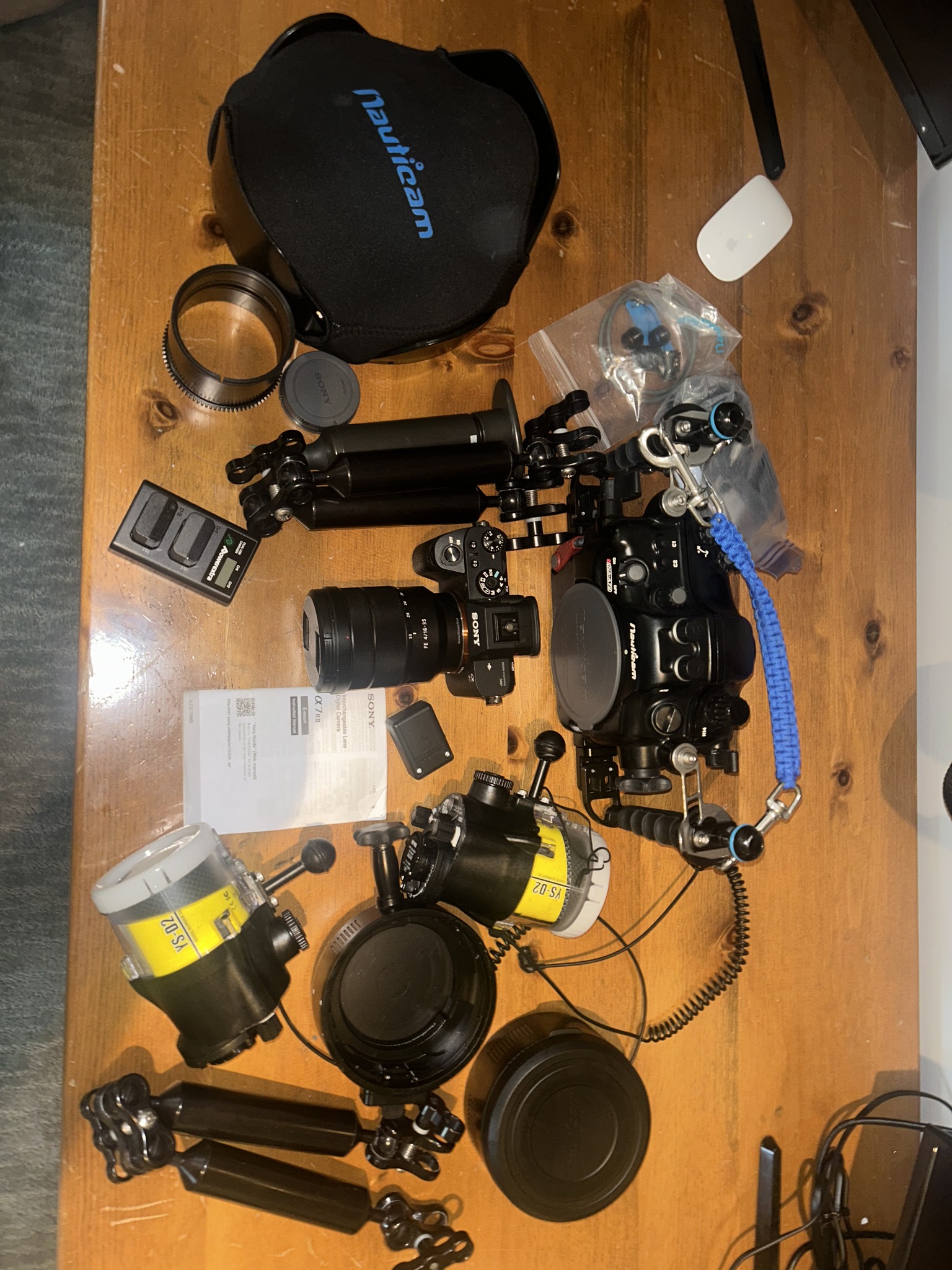 Ikelite DL200 (for Nikon D500) + 8” dome port + DS161 strobe (with 