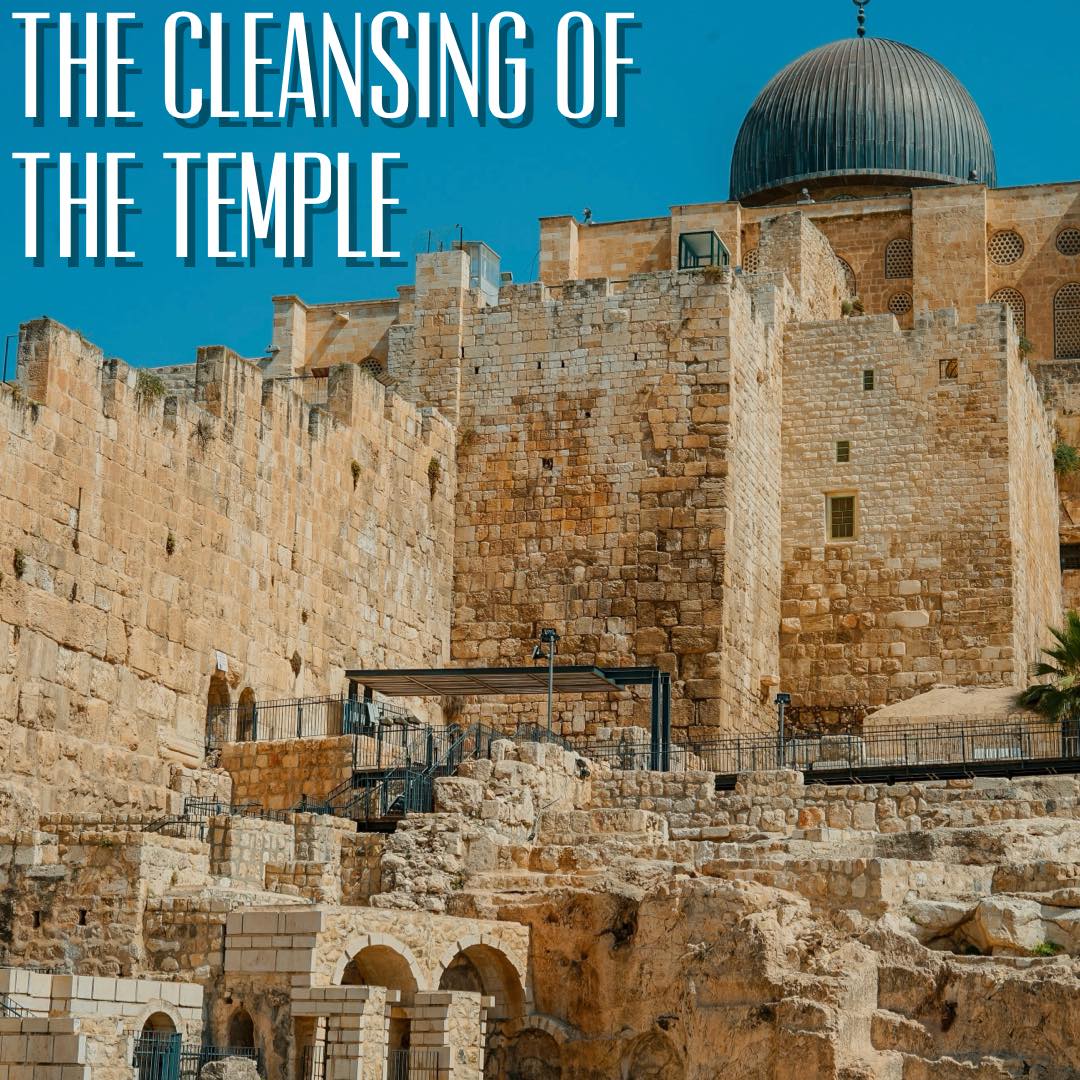 Green - Was Jesus’ anger at the cleansing of the temple justified? Is ...