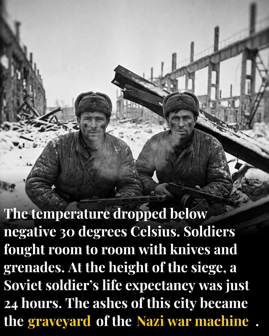 It is late January 1943 and the German 6th Army is starving inside