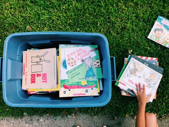 Bloomer's Little Free Libraries