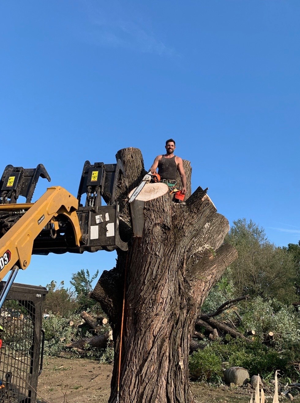 Project Tree Service