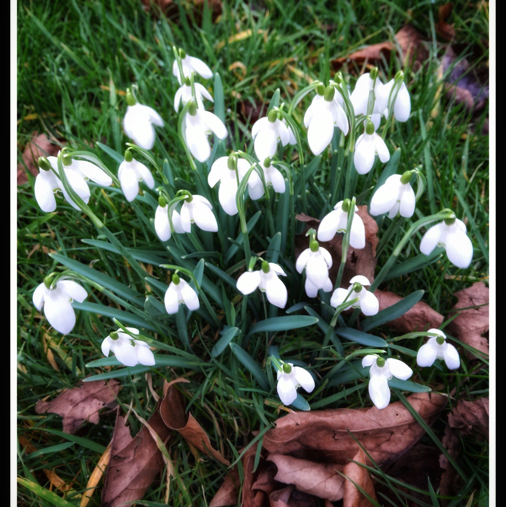 A winter walk to blow away the cobwebs, archive photos. #gooutside # ...