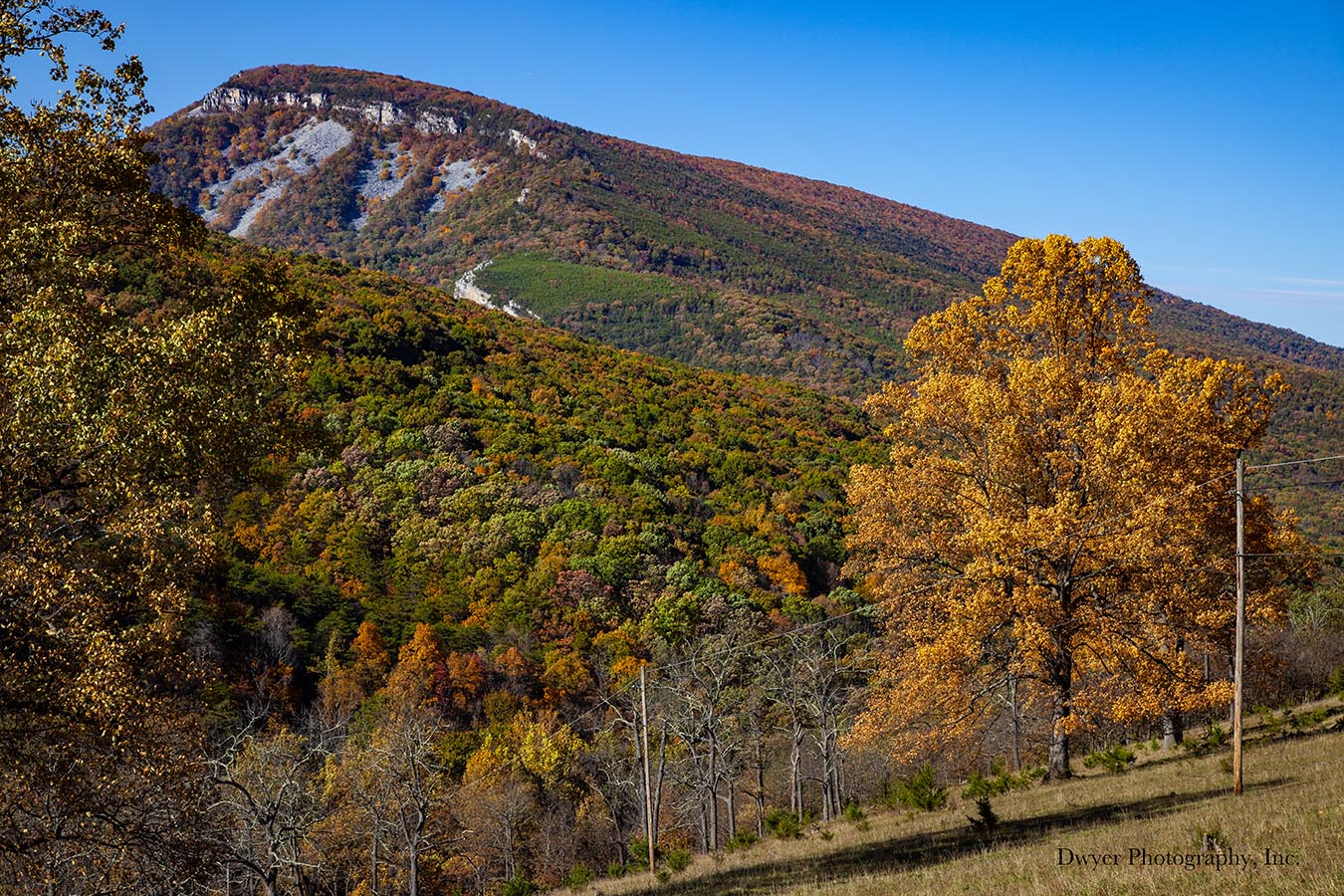 Medaglione Per Bastone Da Escursionismo - Seneca Rocks State Park West Virginia - Marmot