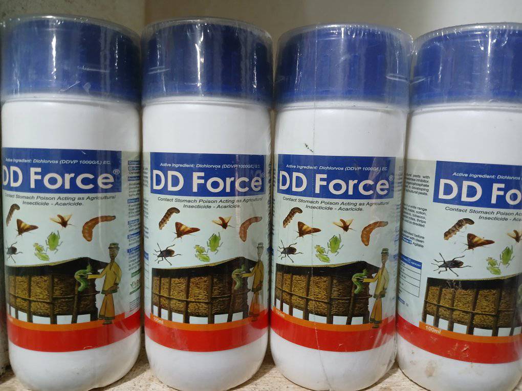 DD Force insecticide is effective... - ASIVA AGRIC SHOP | Facebook