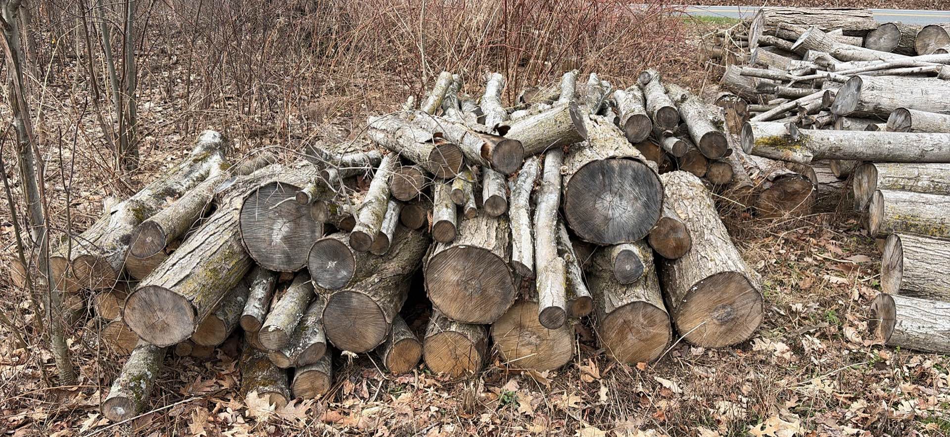 Firewood - 2025 Unsplit hardwood. - Miscellaneous - Ballston Spa, New ...