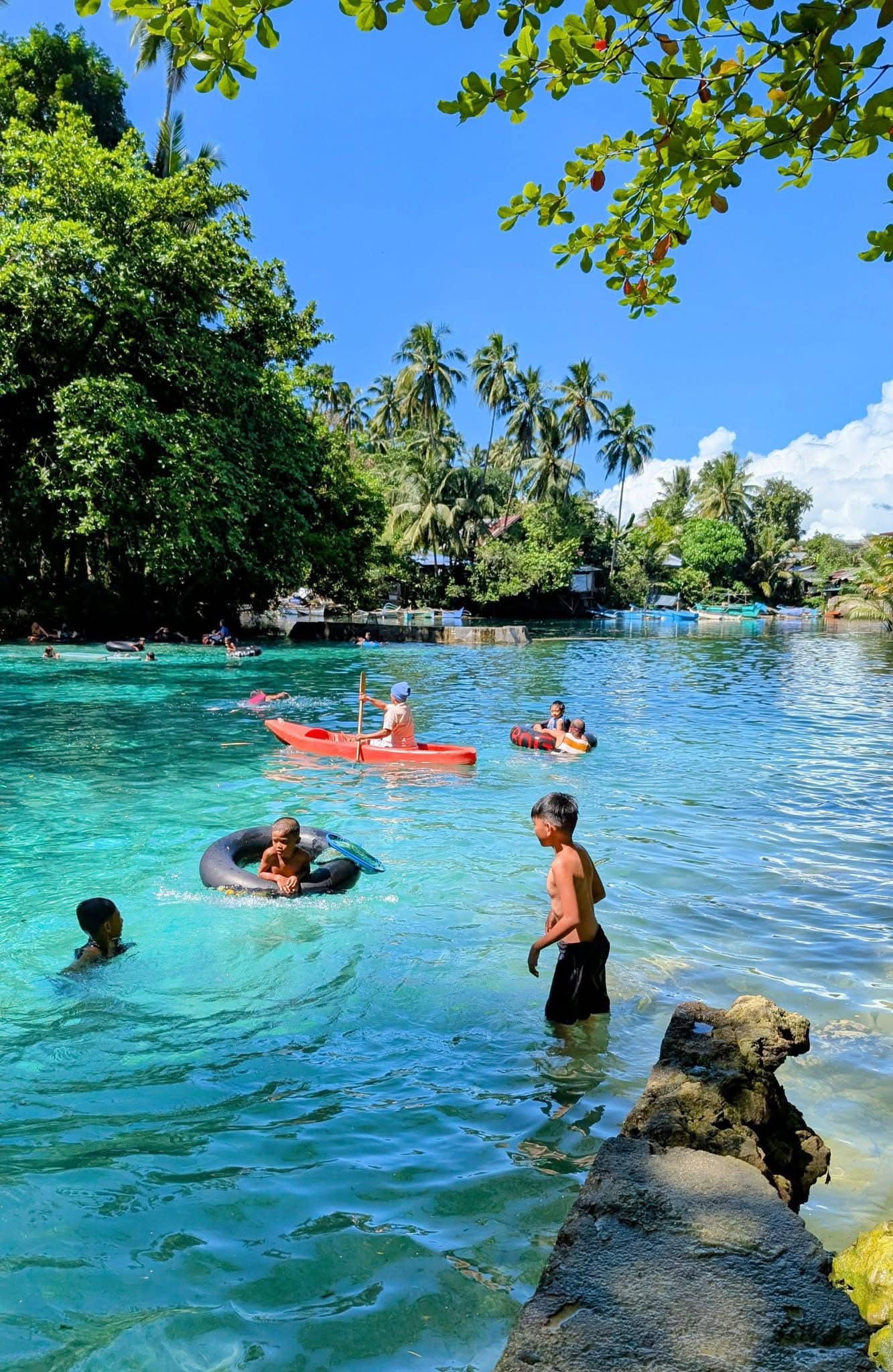 Talacogon spotted