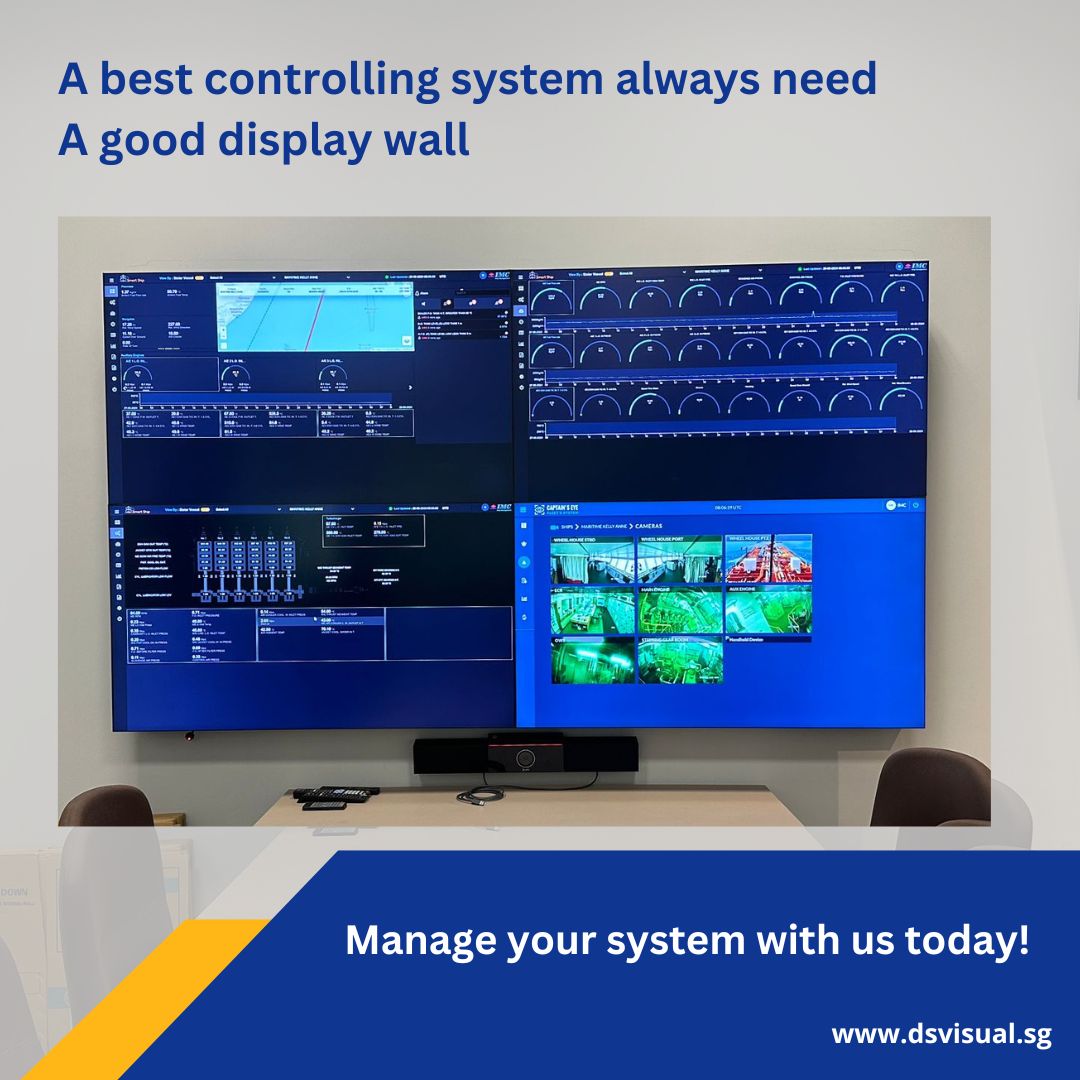 DS Visual - Navigate complex systems with ease using our...