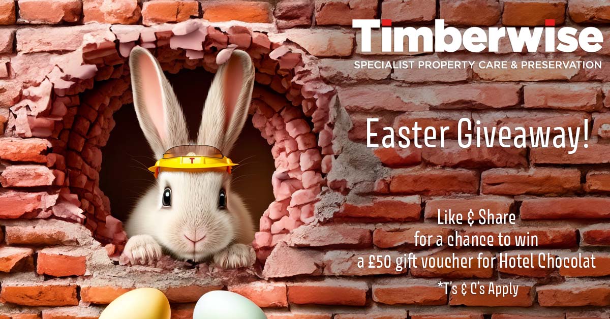 Today is the launch of our 2024... - Timberwise (UK) Ltd | Facebook