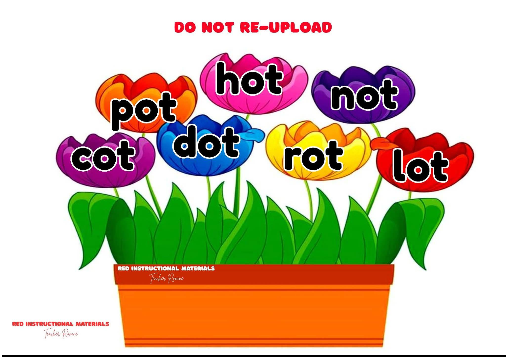 RED Instructional Materials... - RED Instructional Materials