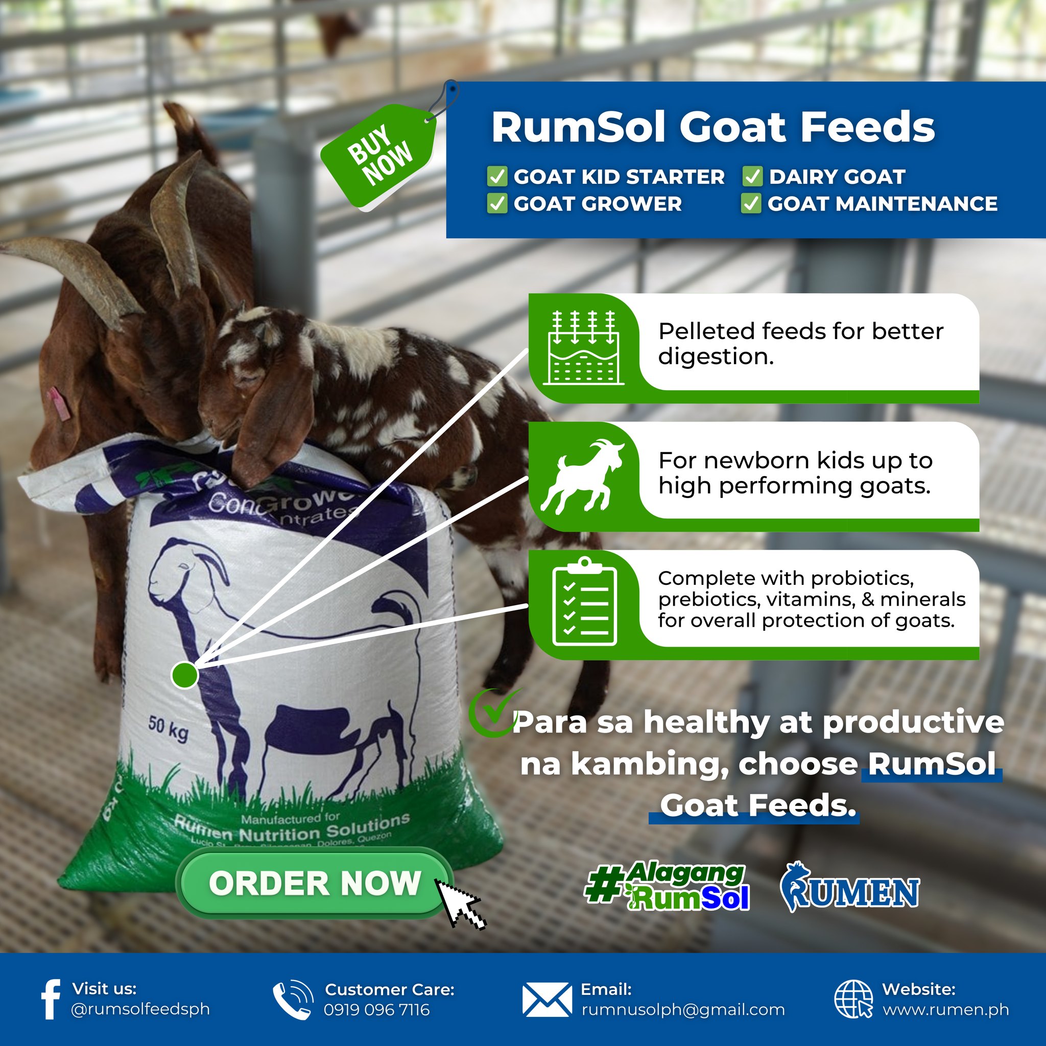 Rumen Nutrition Solutions - RumSol Feeds | Dolores