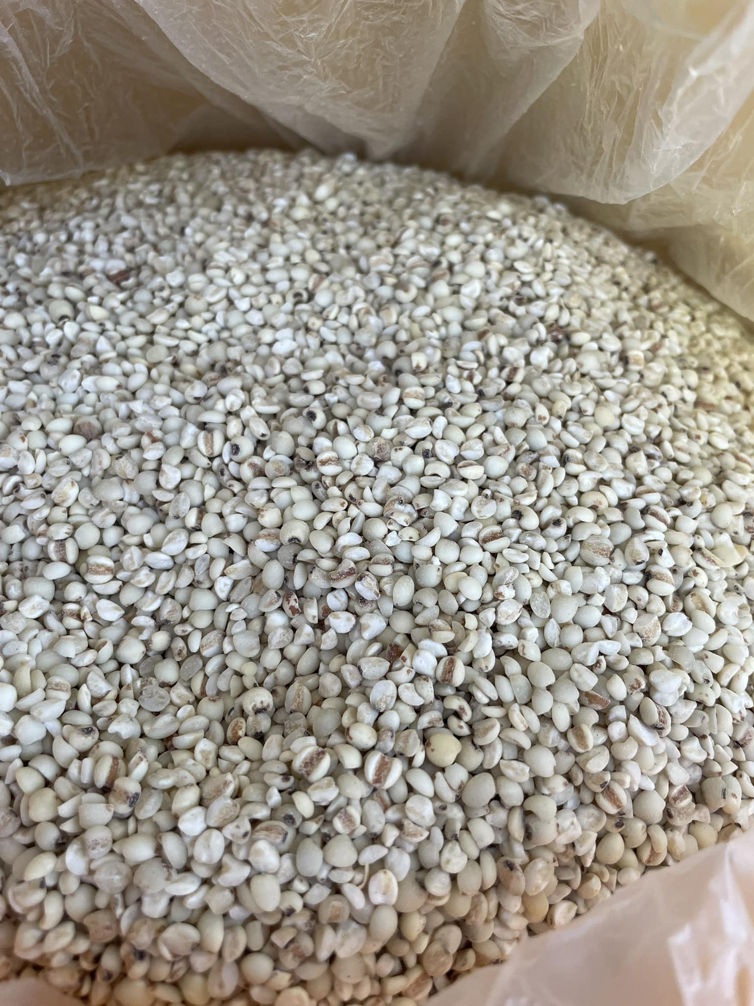 Mindanao - Just like rice but healthier! Flexing Adlai's versatility in ...