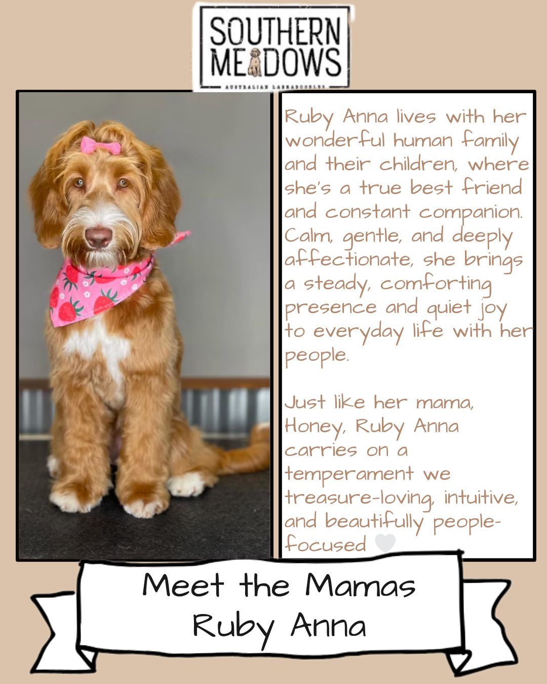 southern-meadows-doodles-added-southern-meadows-doodles