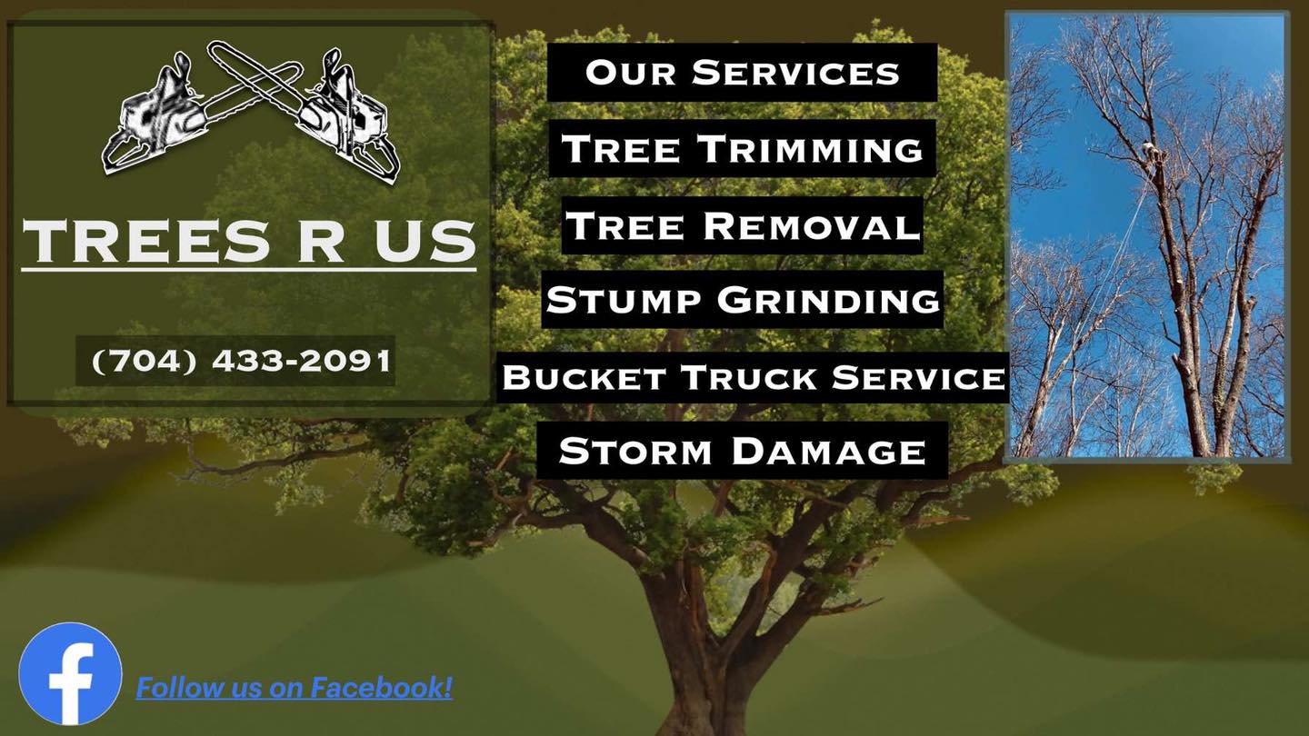Trees r us | Salisbury NC