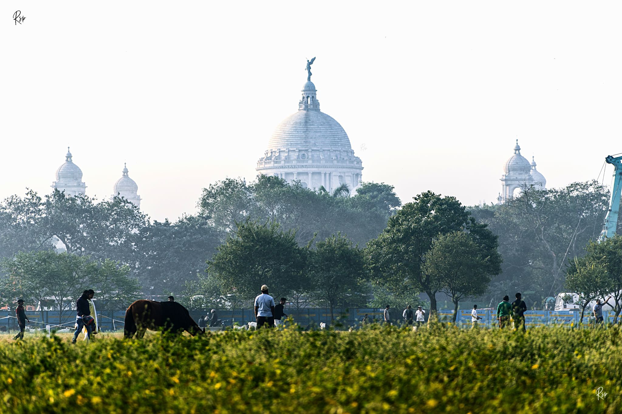 Reekparna - 🍁 Views of Victoria 🍁 Moments of Maidan 🍂 Part 1 💜 2025