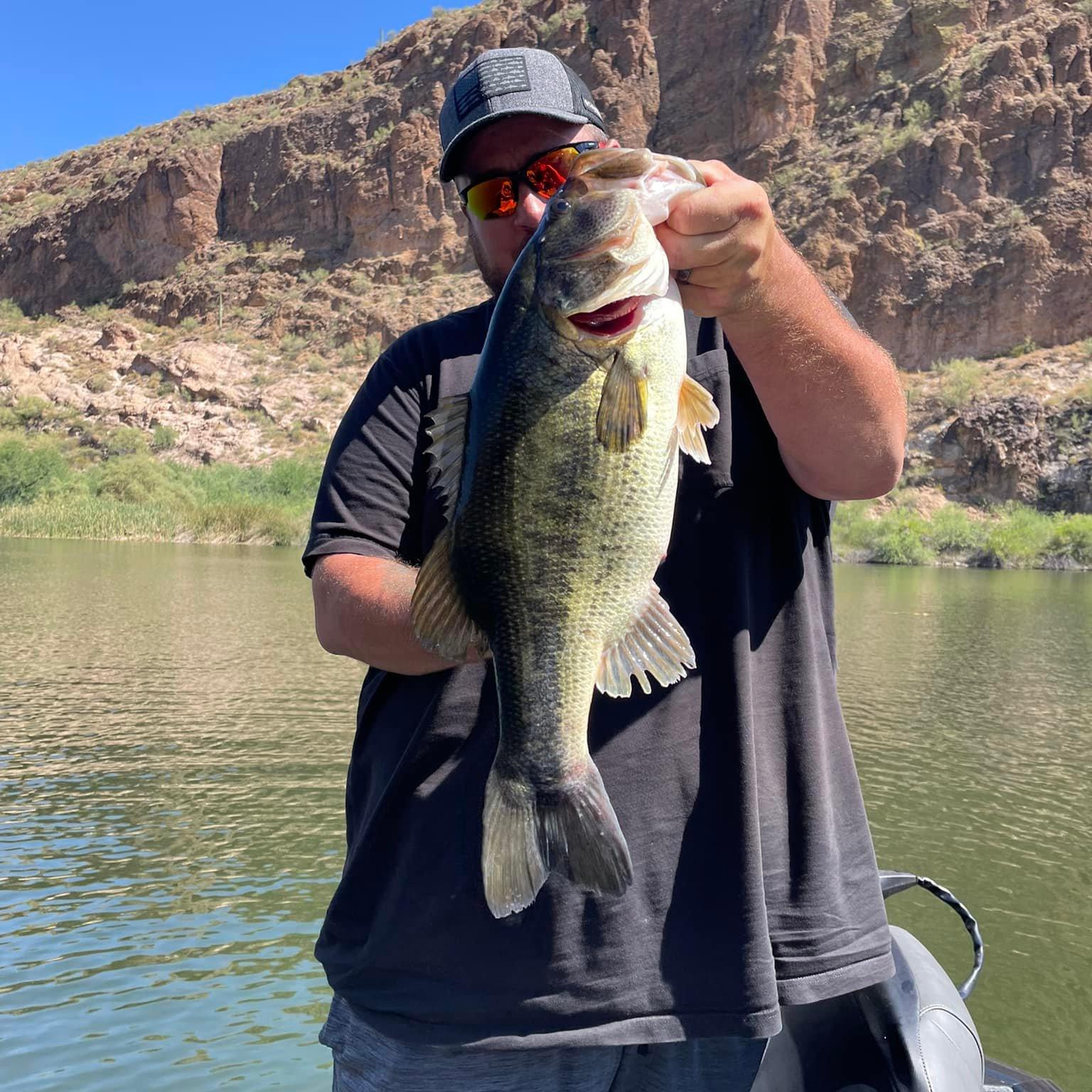 Lowrance Active Target Users | Hi all, my pontoon has an elite fs, on ...
