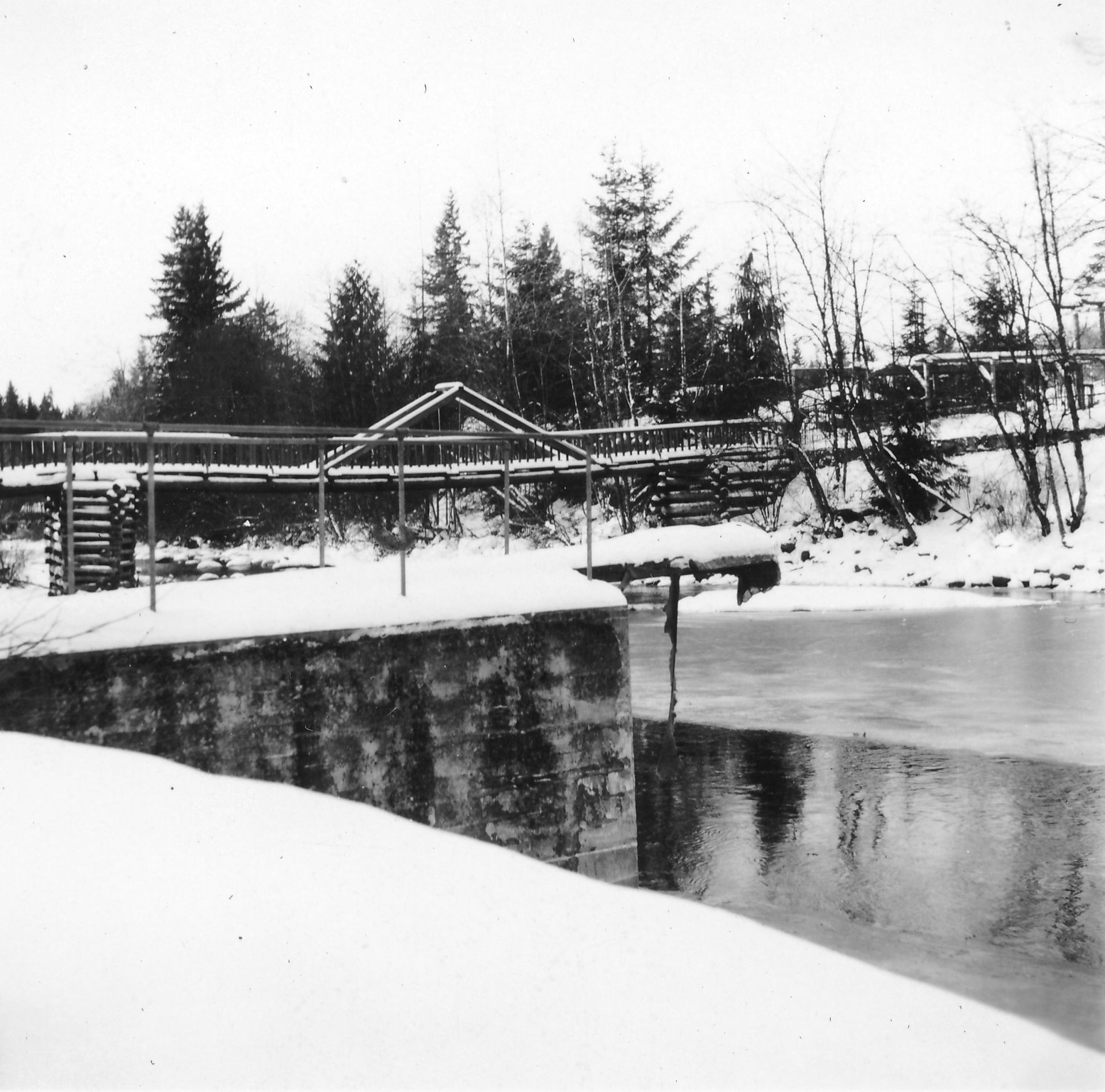 Maple - Did you know that Maple Ridge Park is 97 years old? This wooded ...